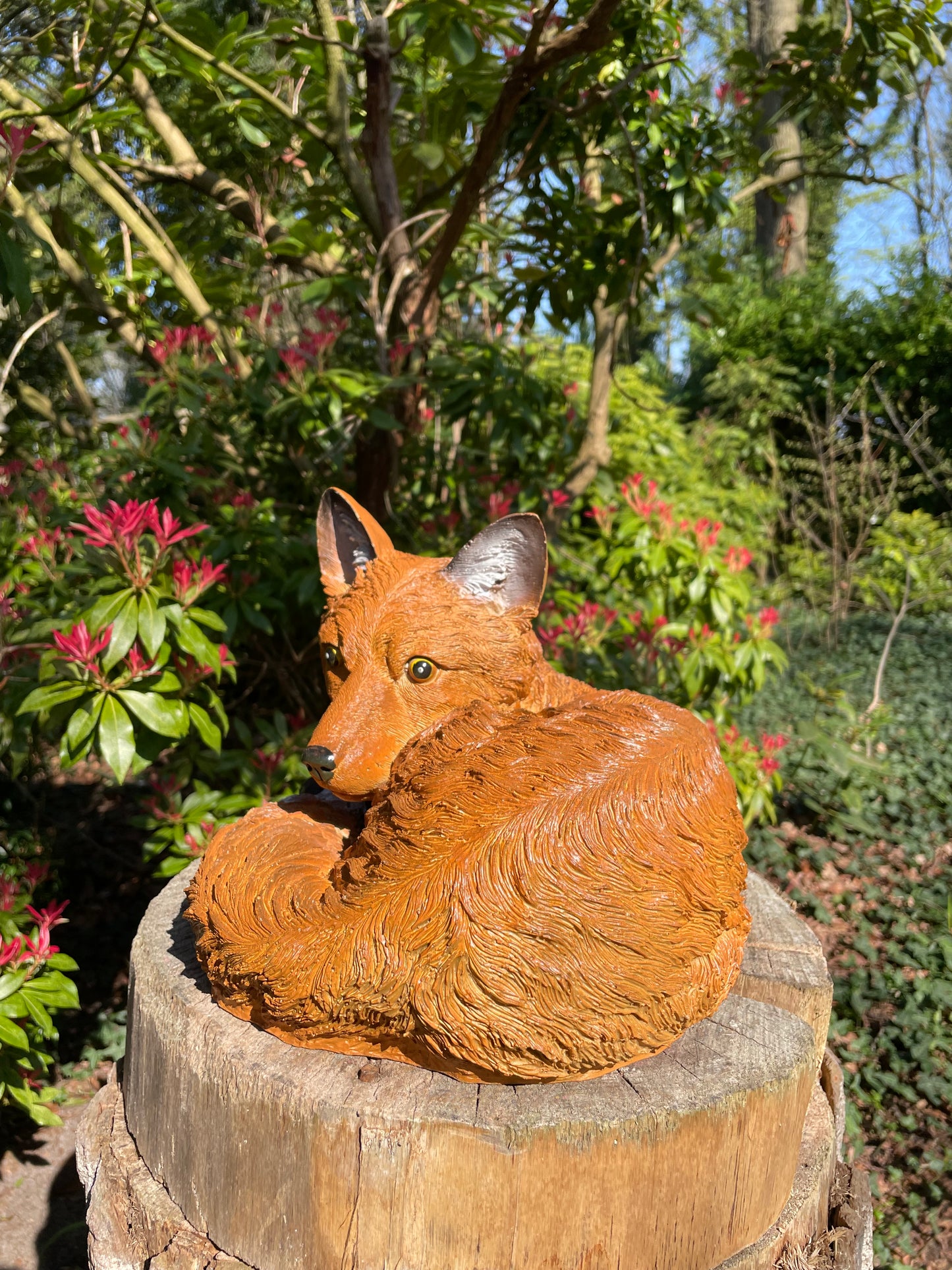 Beeld vos, tuin, vijver, gazon, boerderij 35cm