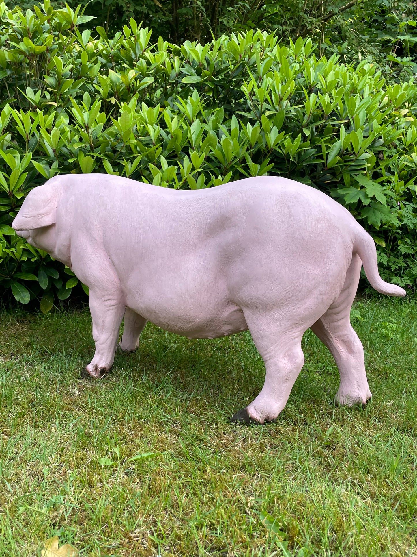 Varken, roze, tuin, gazon, manege, boerderij 100cm