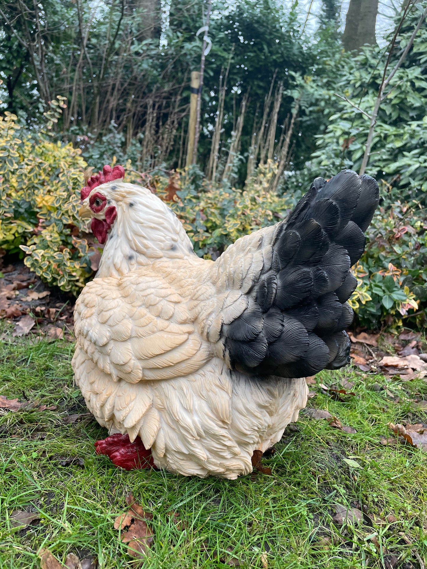 Beeld kip, wit tuin, vijver, gazon, boerderij 35cm