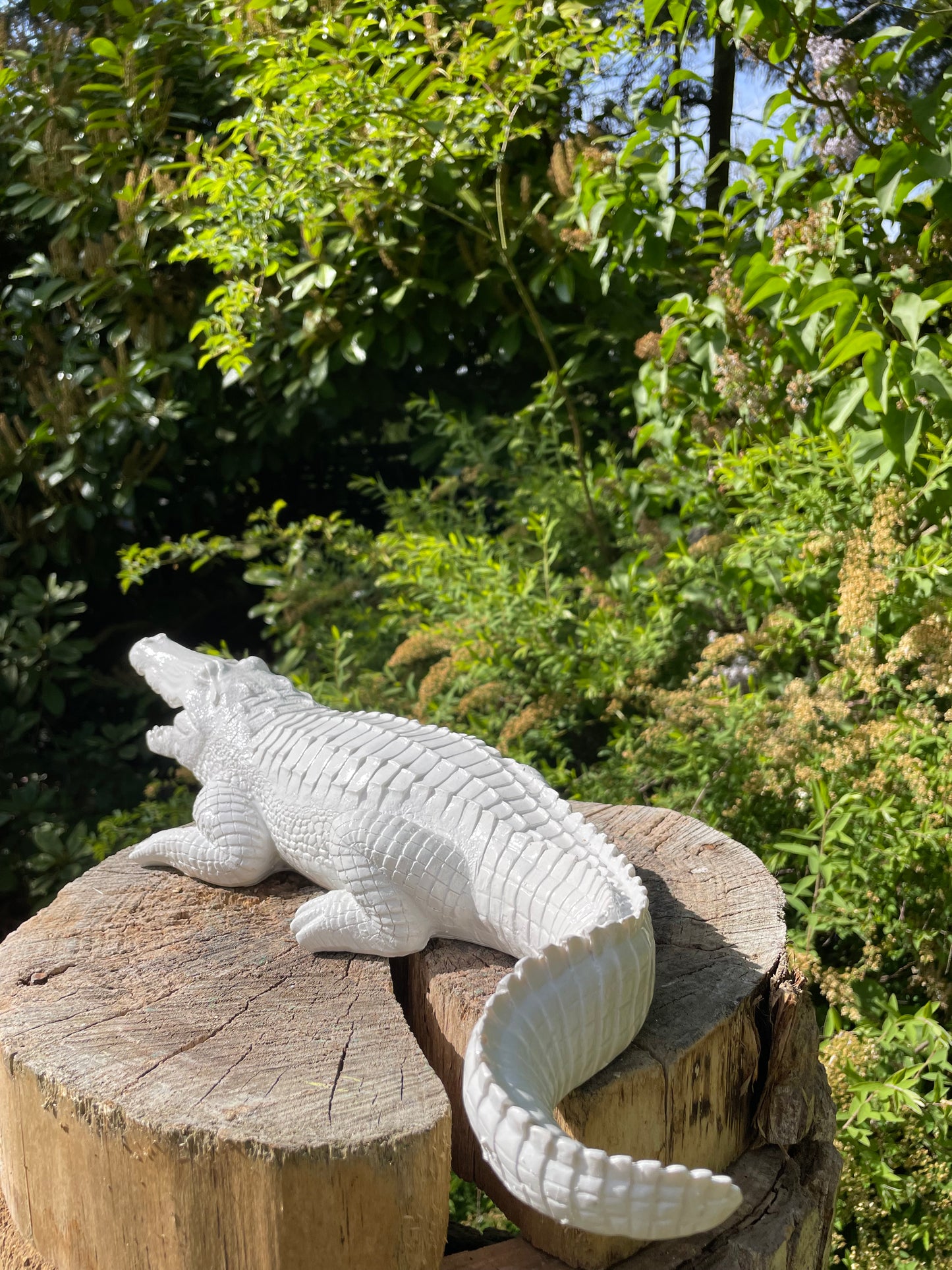Beeld krokodil tuin, gazon, dierentuin, boerderij 45cm