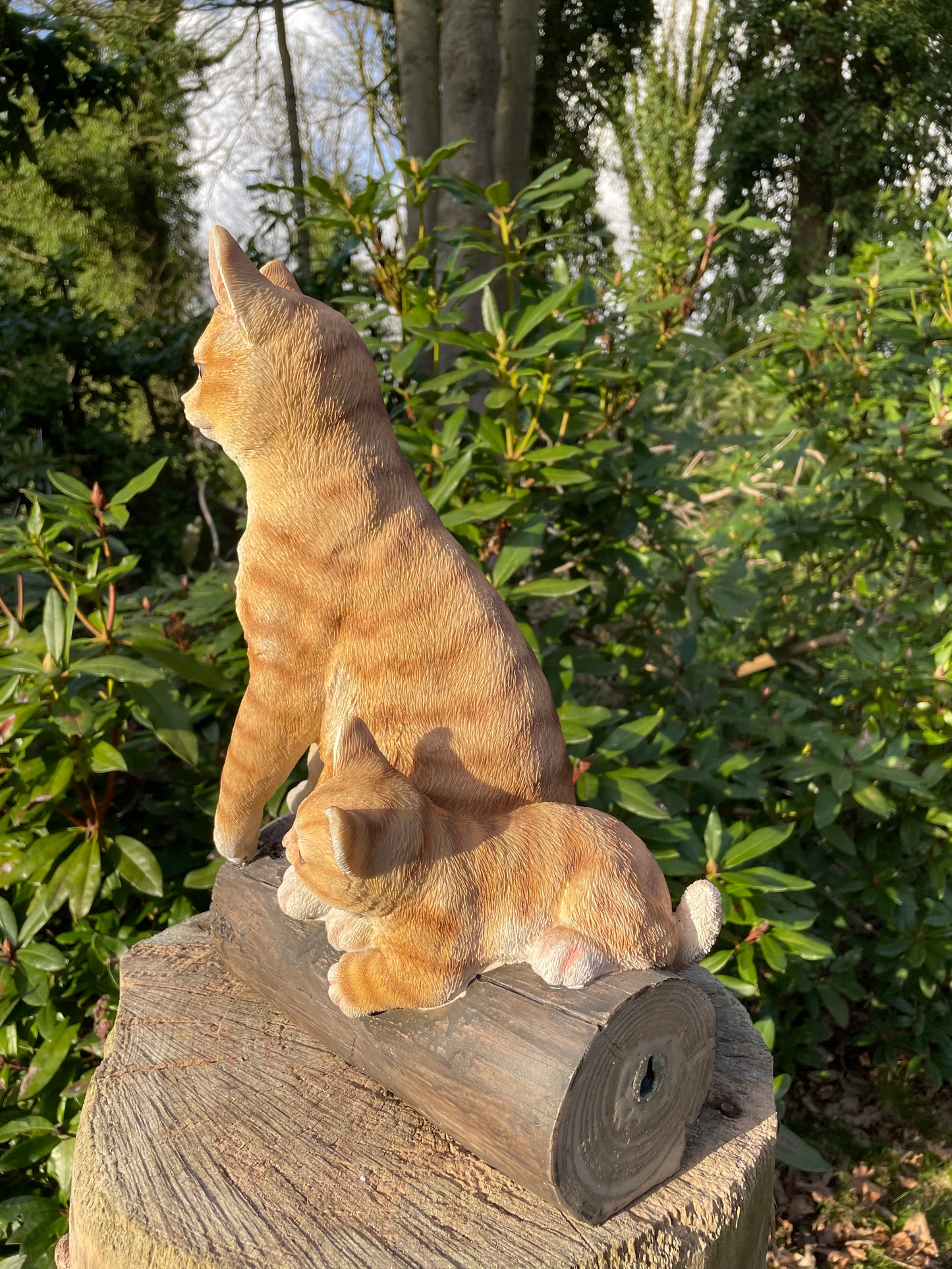 Poes, kitten boomstronk, tuin, gazon, boerderij 37cm
