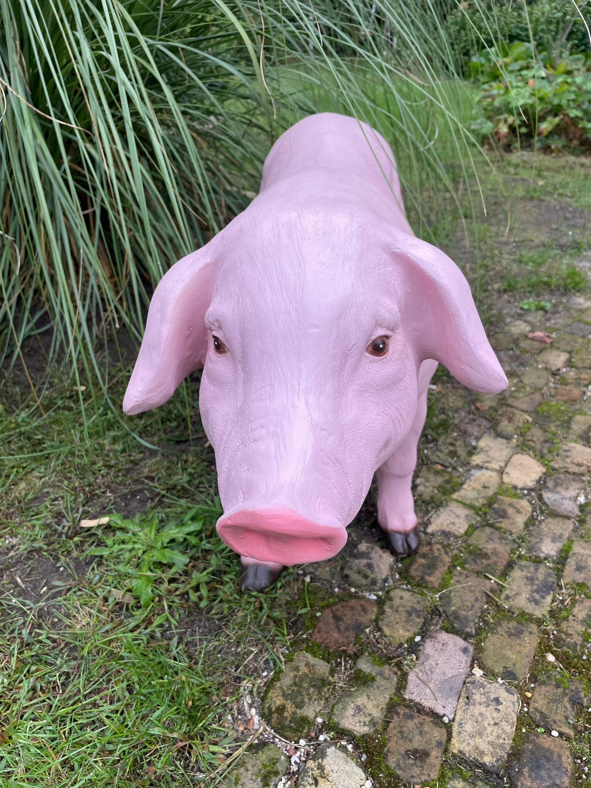 Varken, roze, tuin, gazon, manege, boerderij 100cm