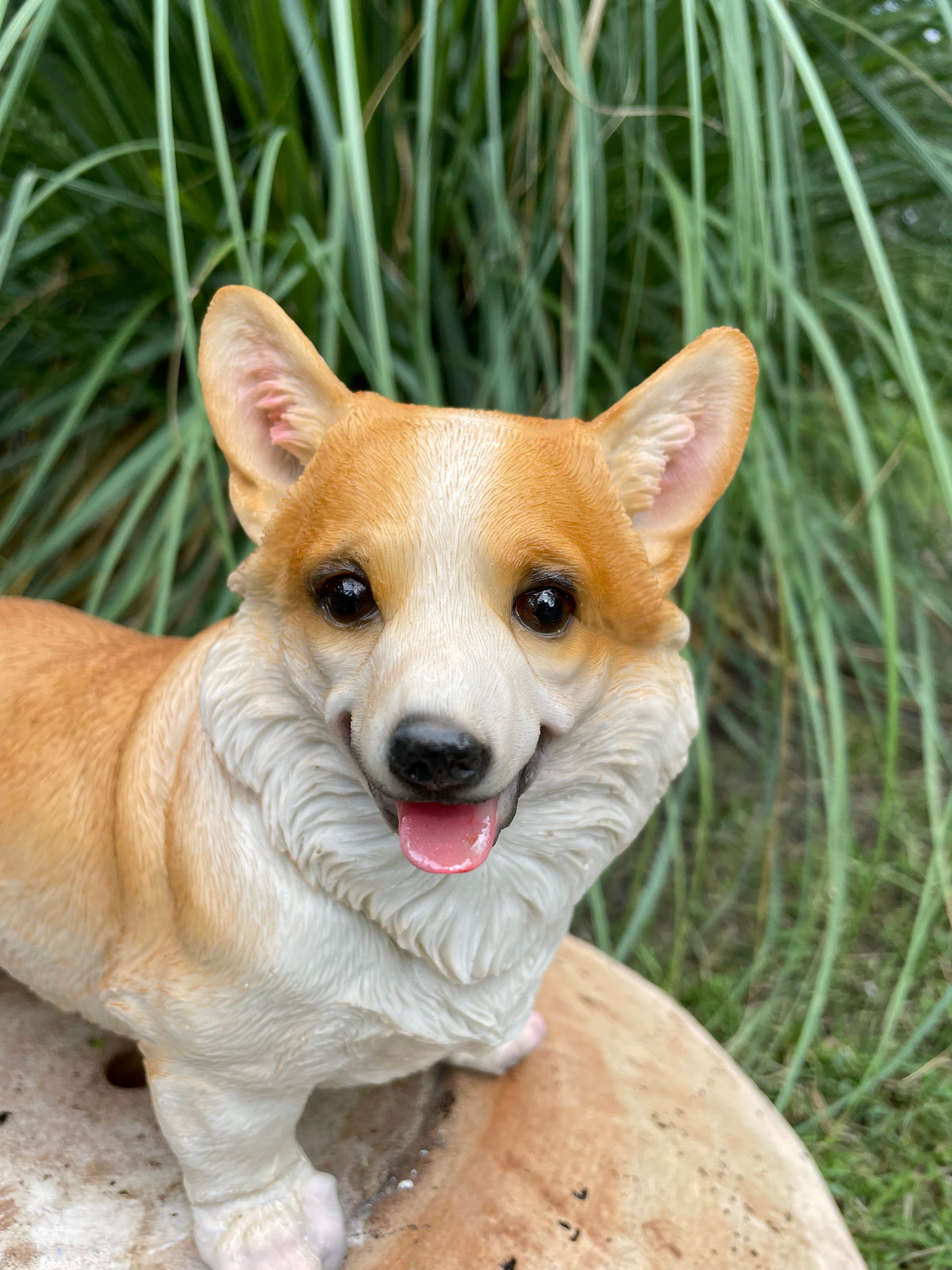 Welsh Corgi hond 30cm