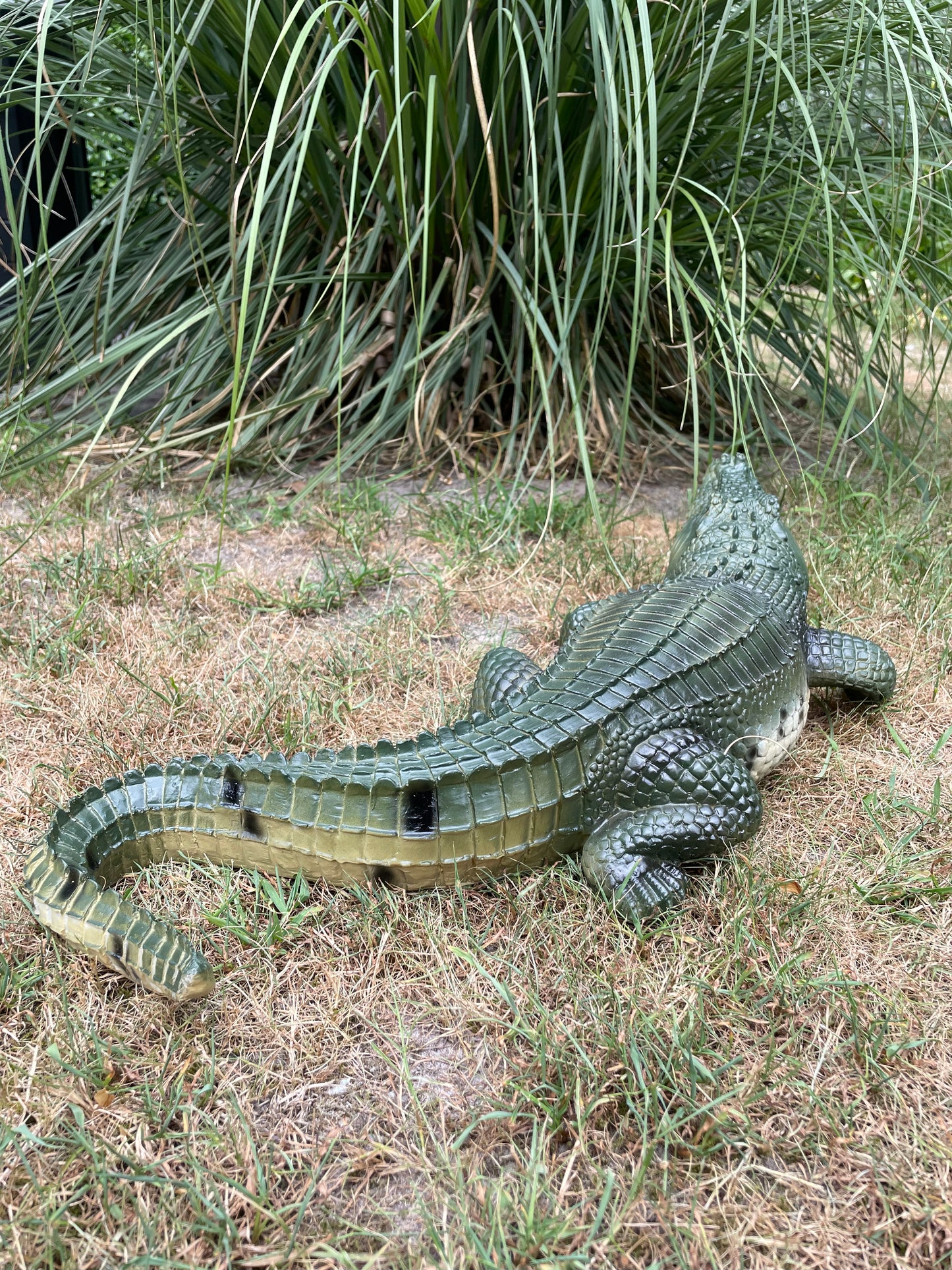 Beeld krokodil tuin, gazon, dierentuin, boerderij 60cm