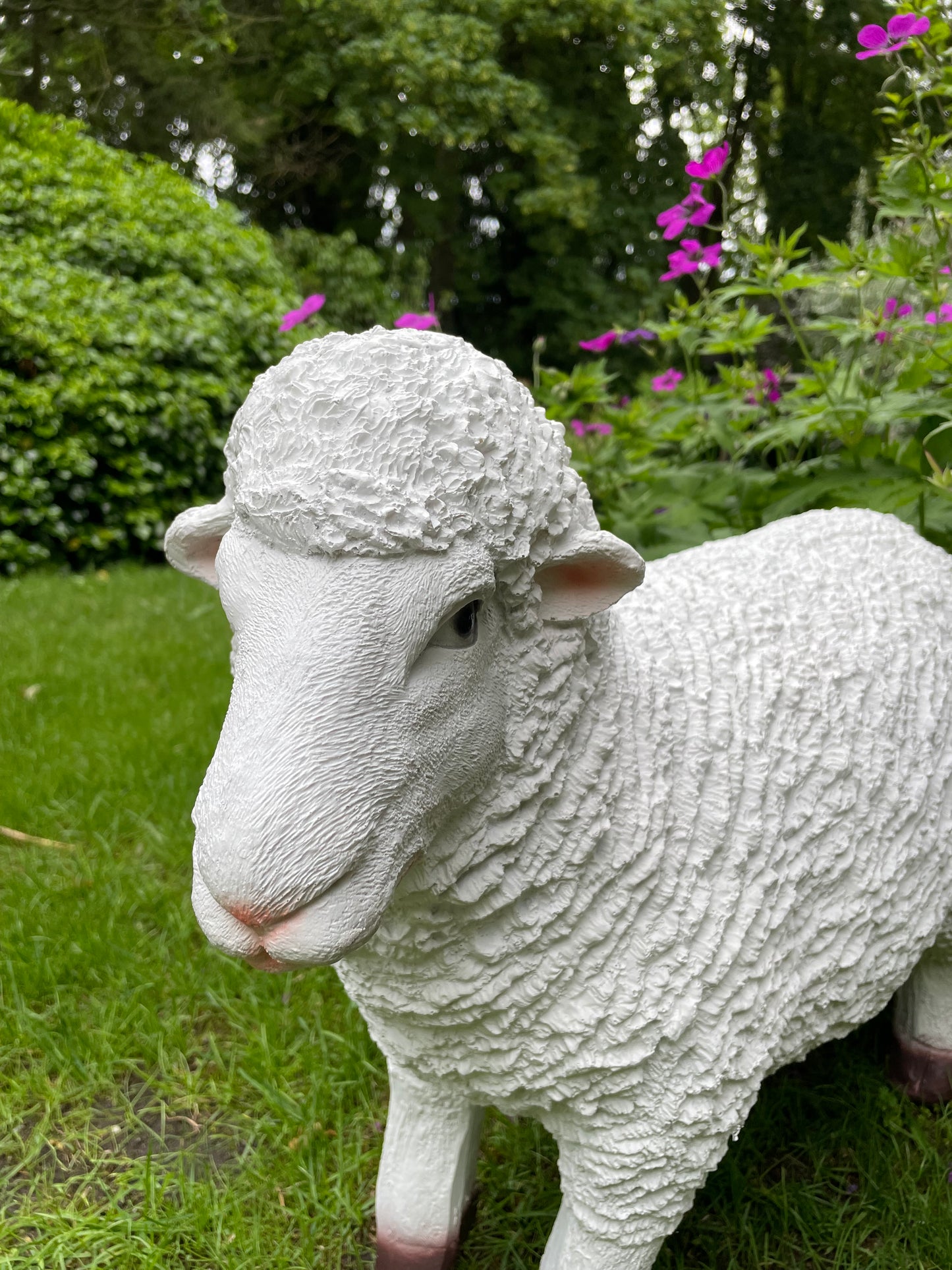 Set Merino wolschapen, gazon, tuin, boerderij 70-65cm