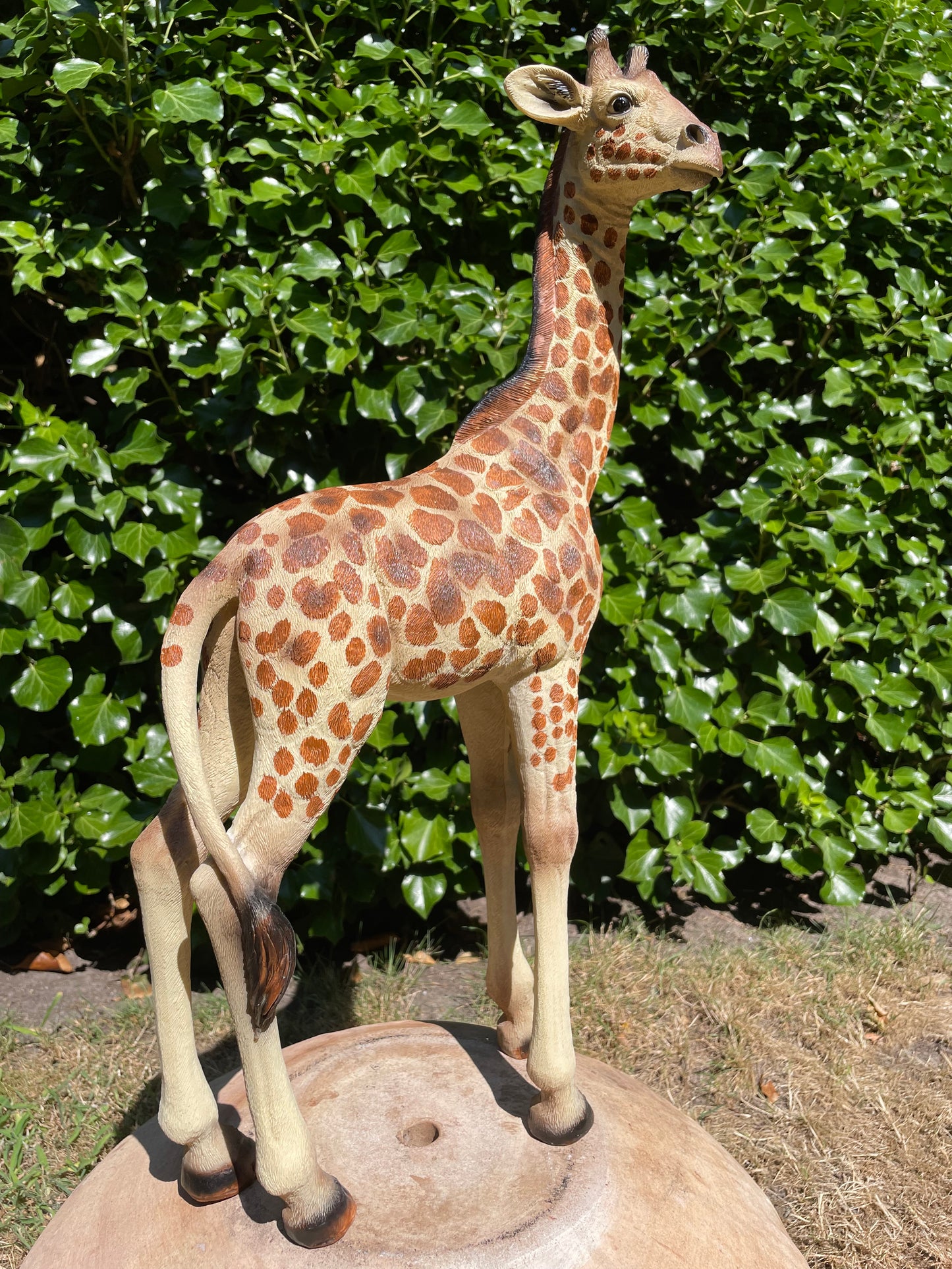Giraf, staand, tuin, woonkamer, dierentuin 55cm
