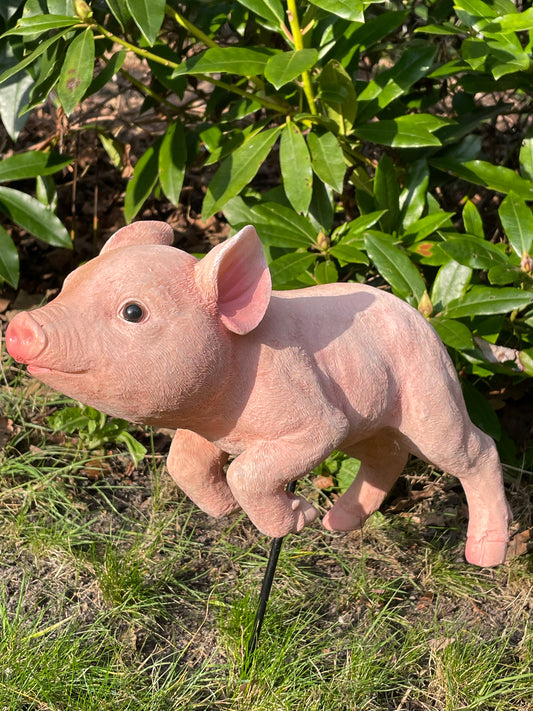 Mini varken (tuin)beeld rennend op een staal stokje