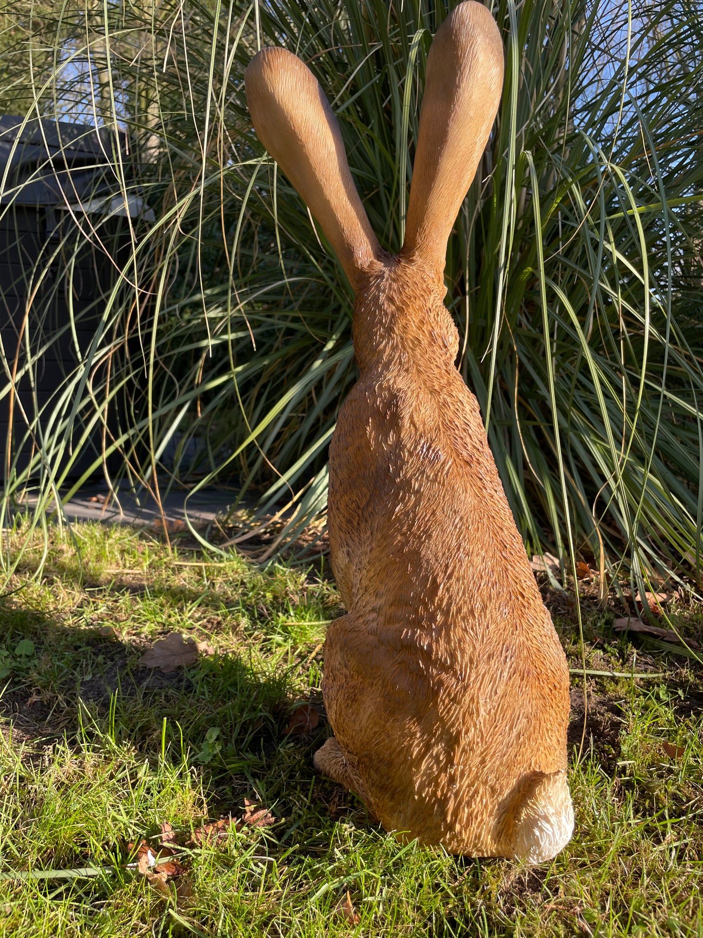 (Tuin)Beeld haas, staand, konijn, vijver 60cm