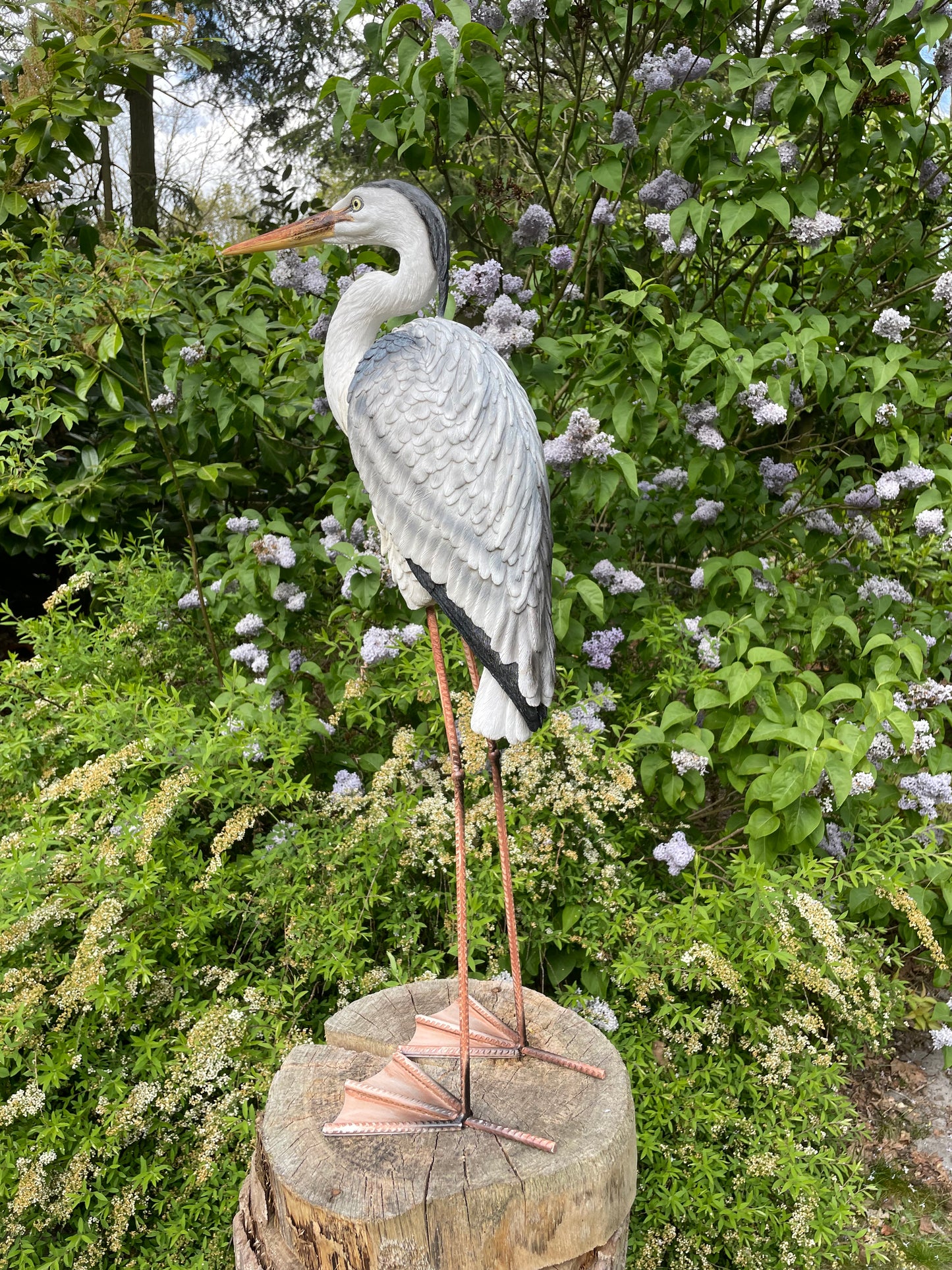 Beeld Reiger, gazon, tuin, vijver, dierentuin 80cm