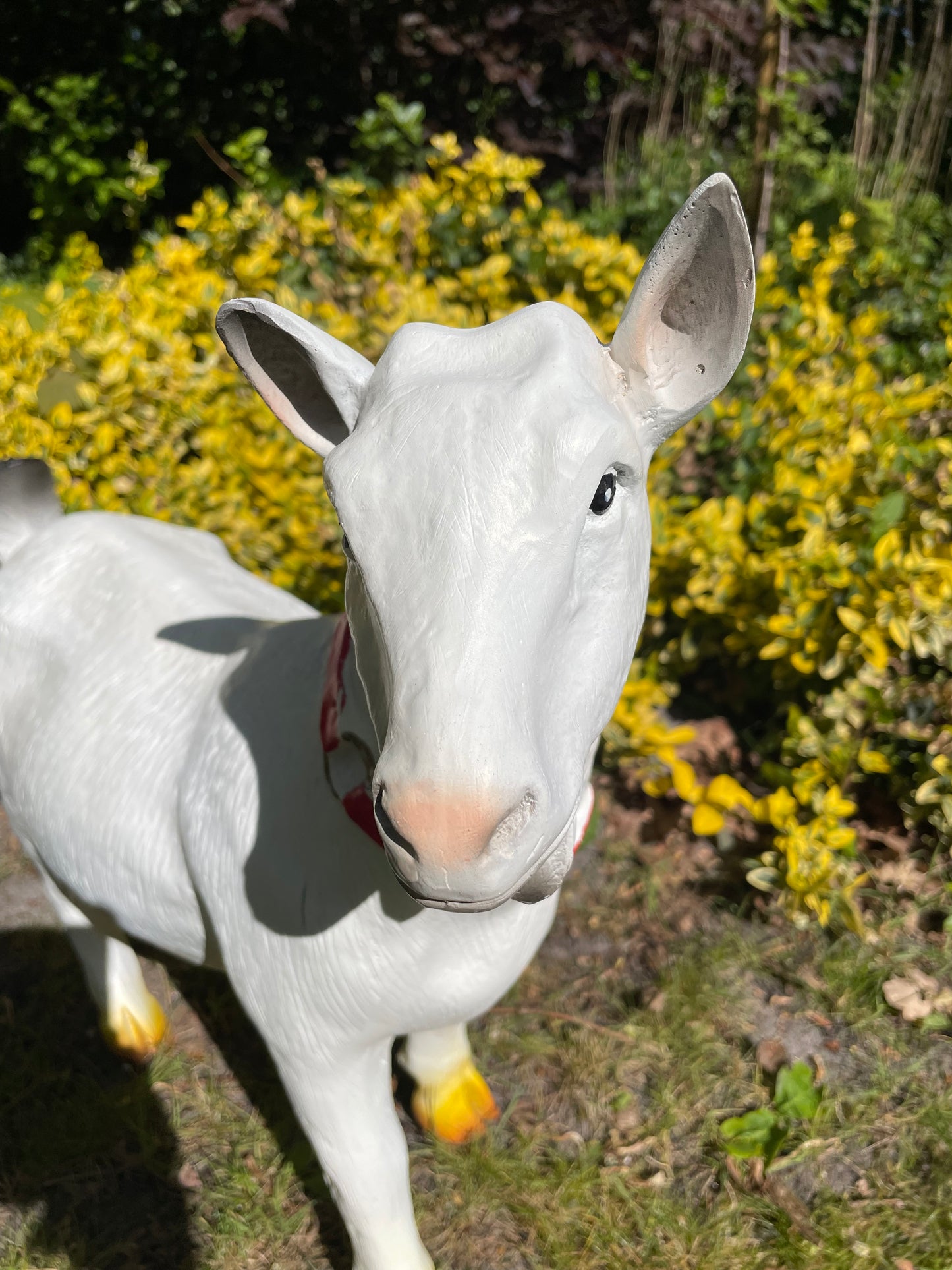 Beeld Geit rode halsband tuin, gazon, boerderij 55cm