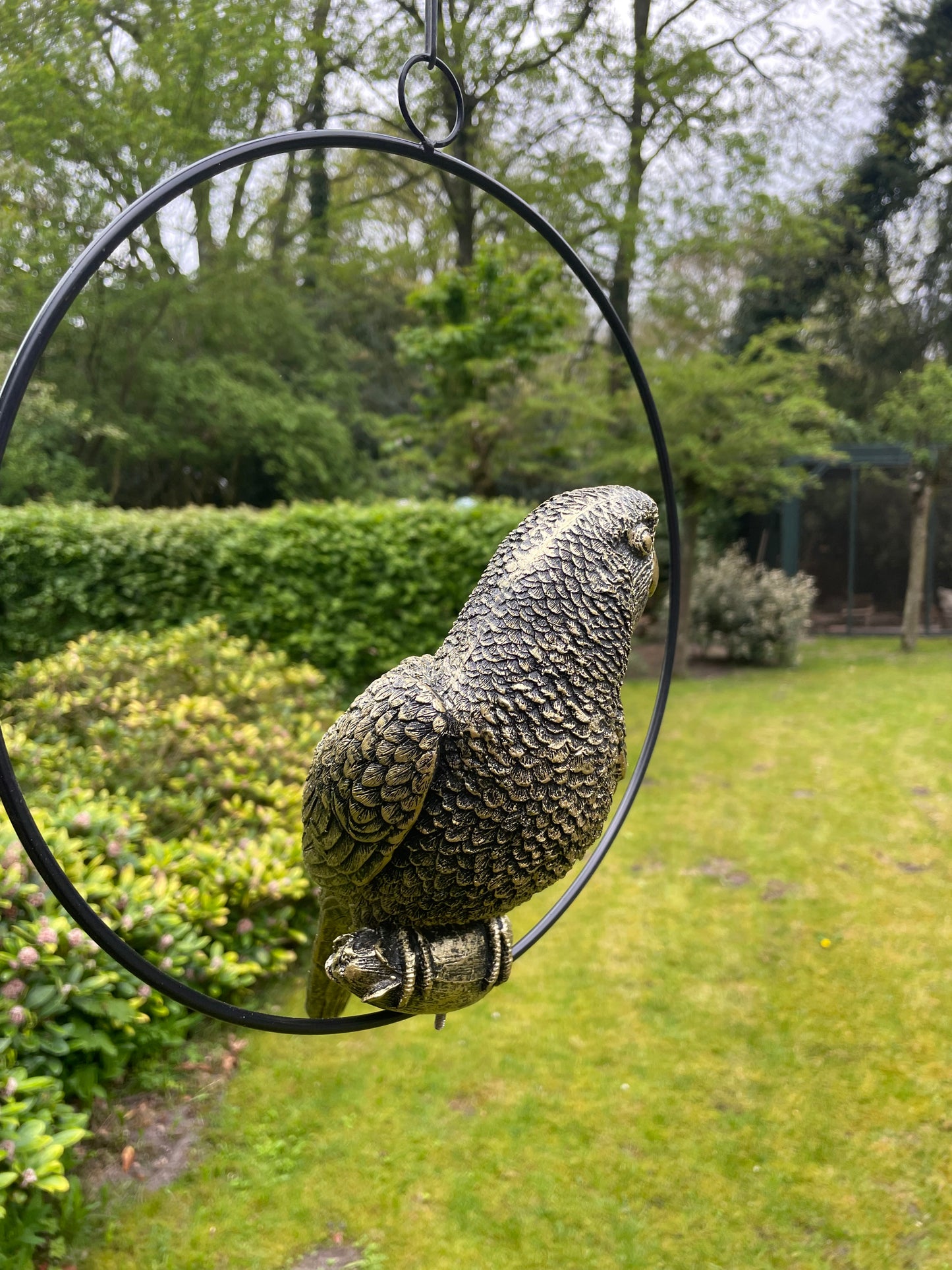 Beeld papegaai Goud tuin, zwembad, vijver, balkon 35cm