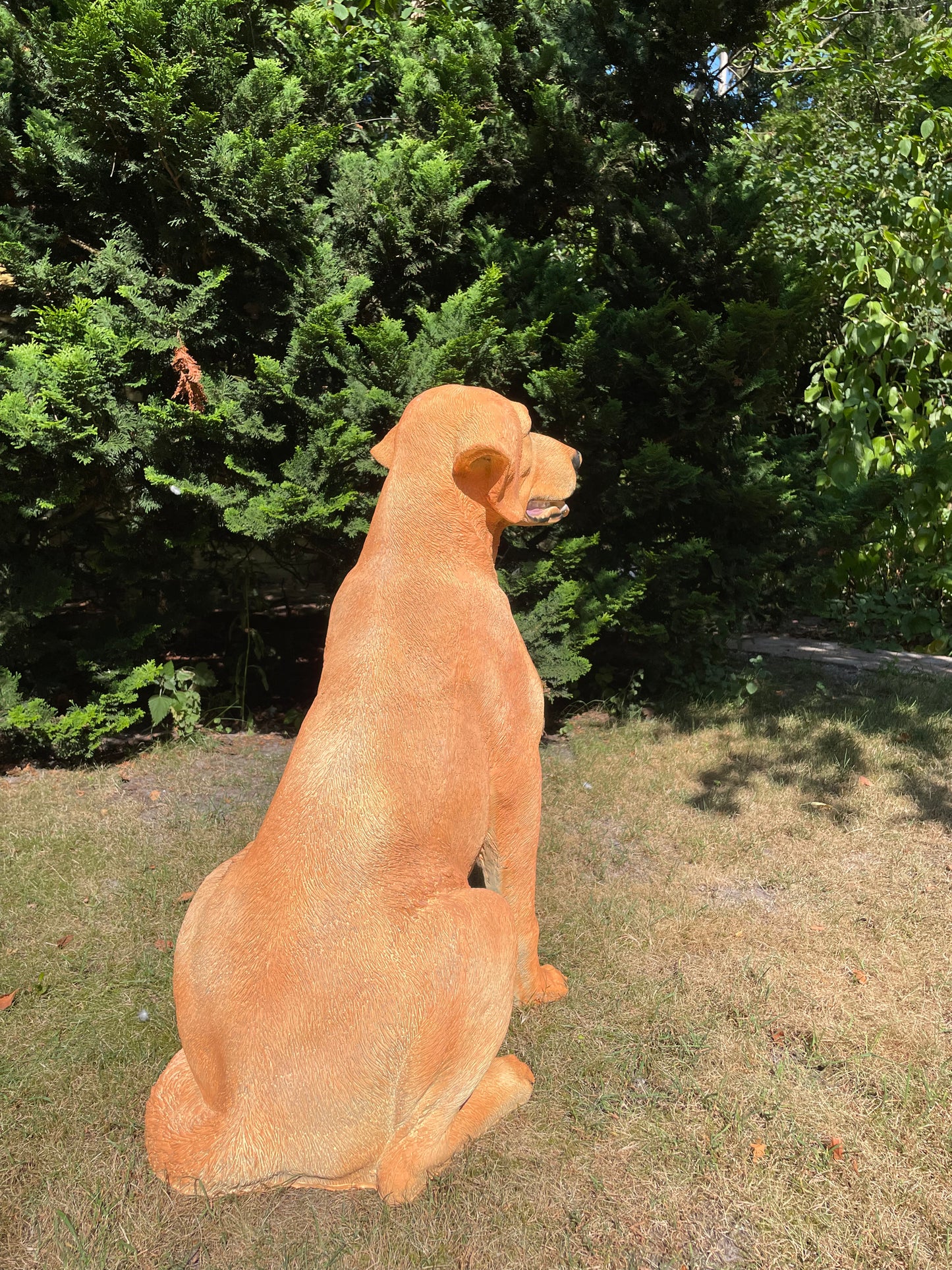 Beeld hond labrador, Golden Retriever donker goud 80cm
