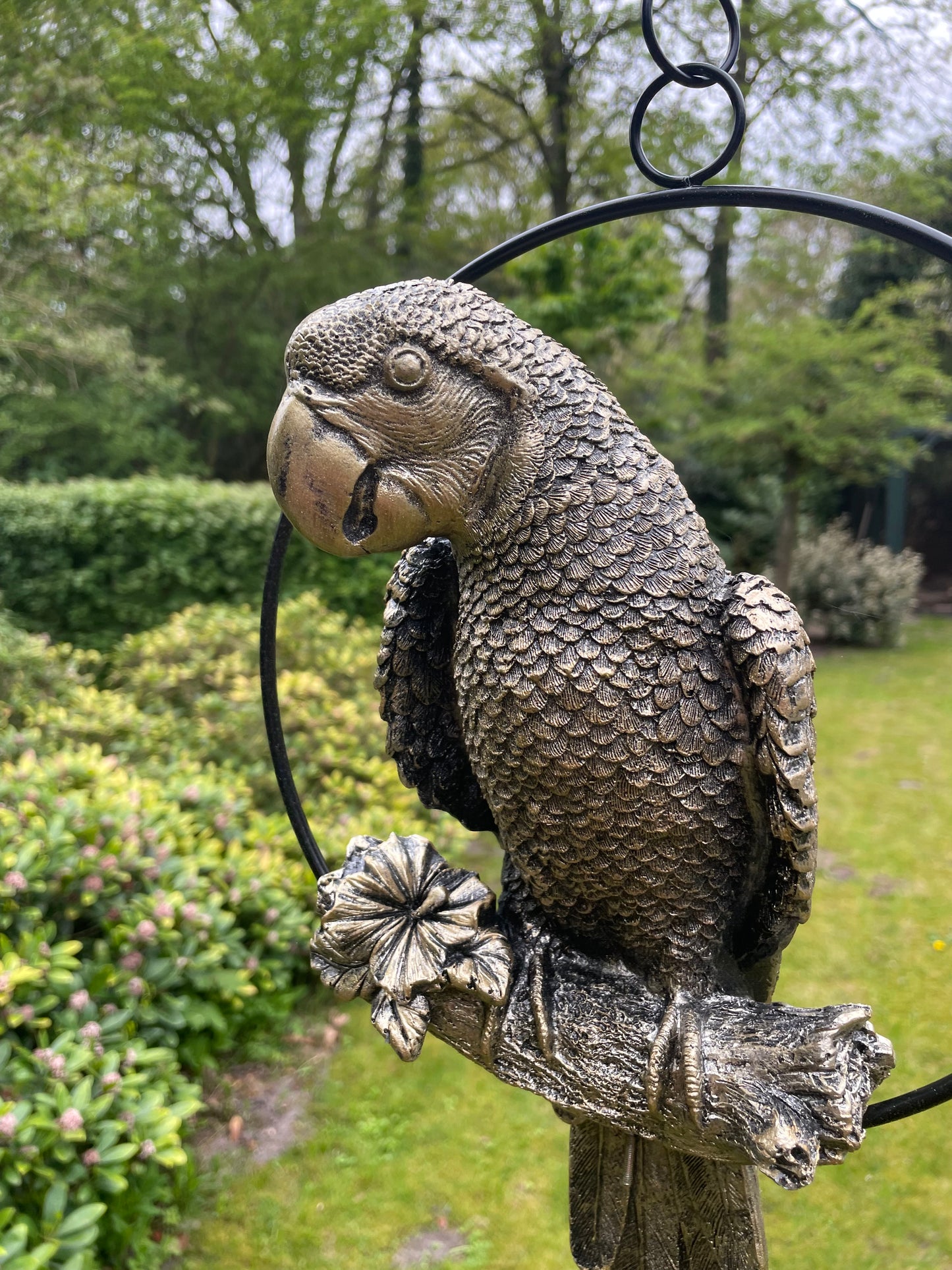 Beeld papegaai Antiek Goud, zwembad, vijver, tuin, balkon 50cm