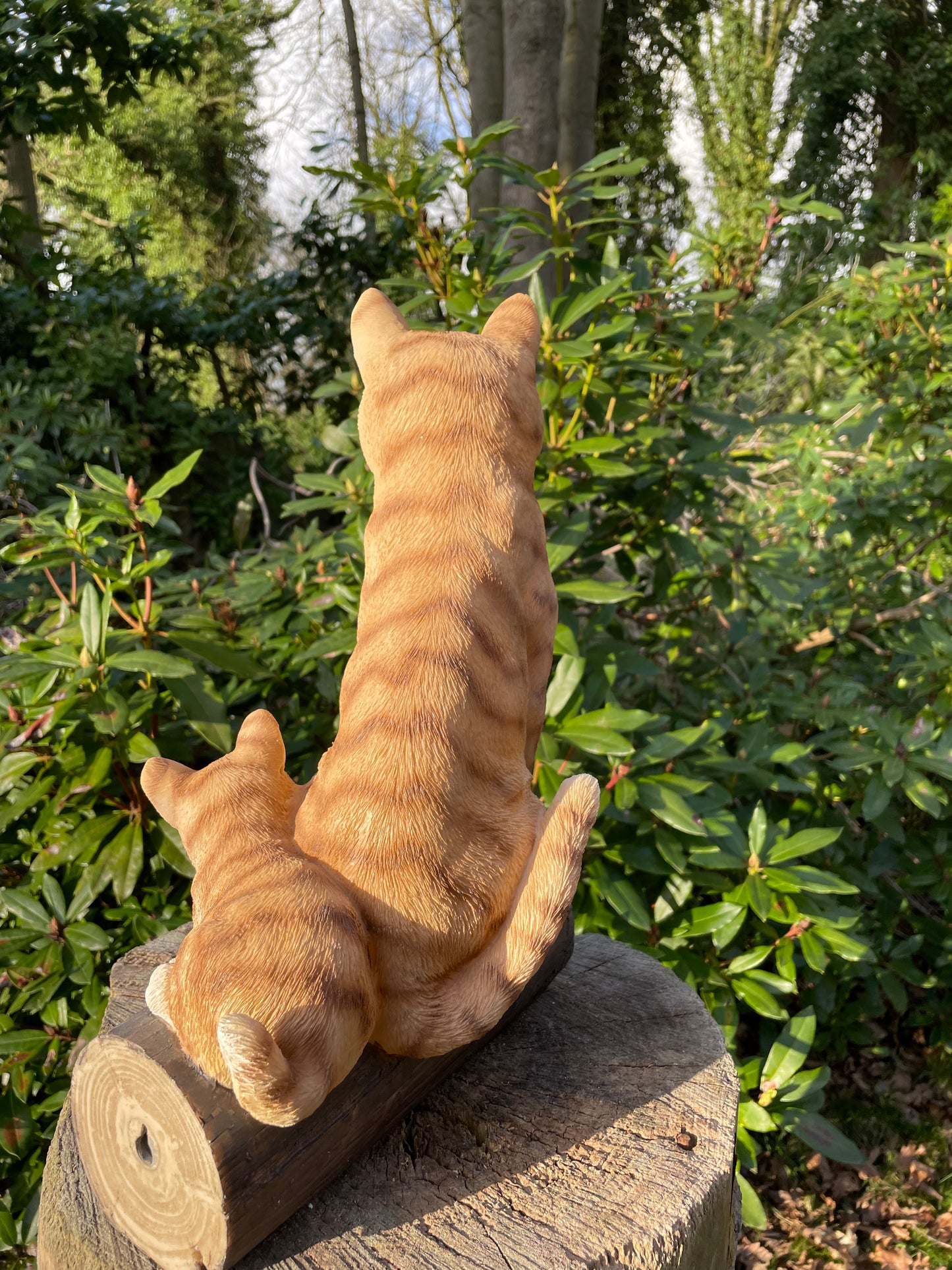 Poes, kitten boomstronk, tuin, gazon, boerderij 37cm
