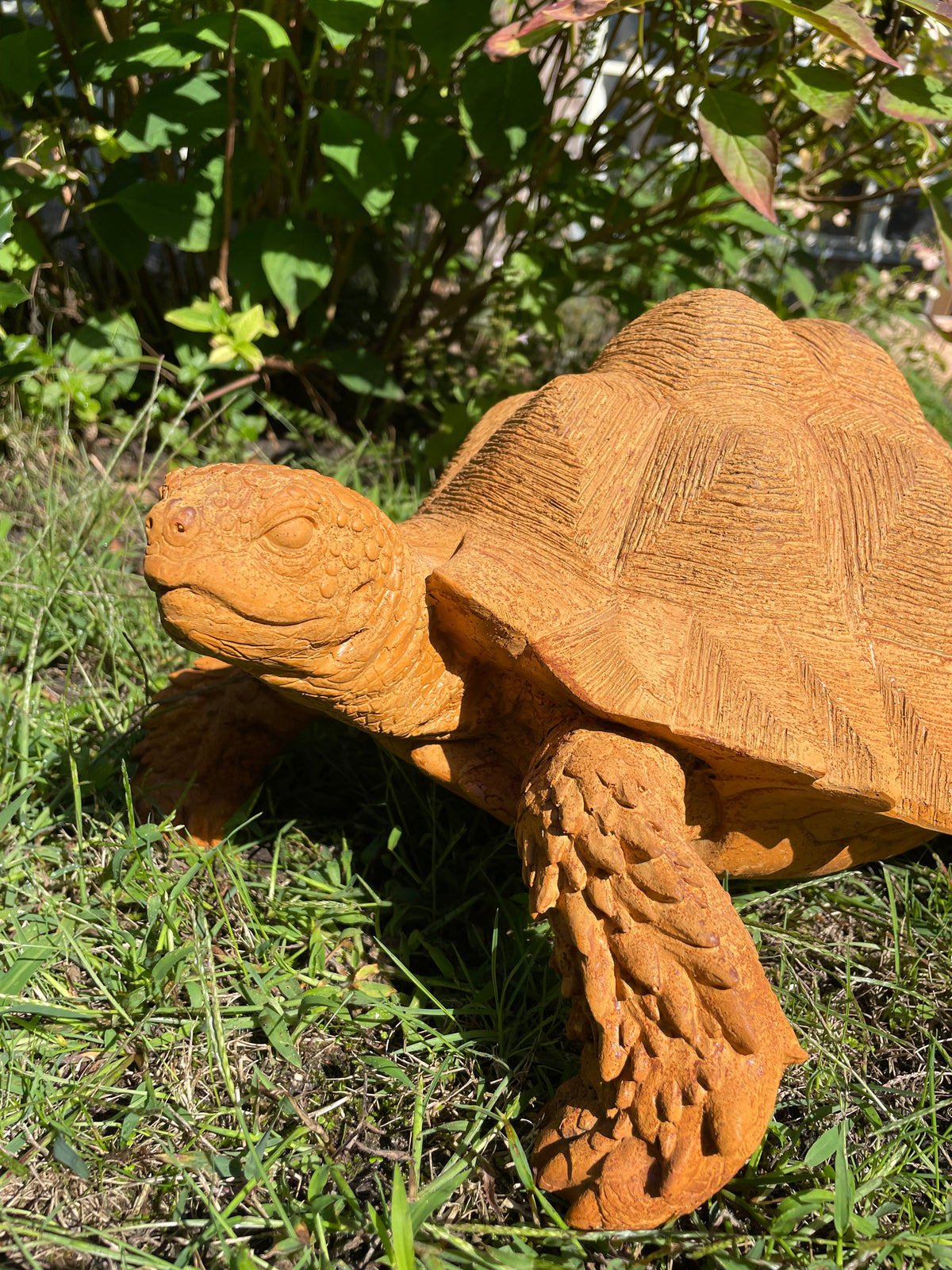 schildpad Roest 40cm