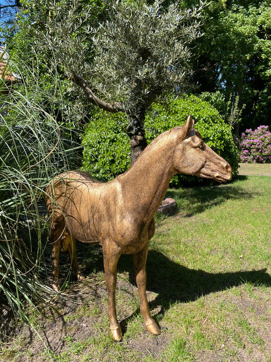 Beeld Paard, goud, tuin, pony, rijles, manege, 100cm