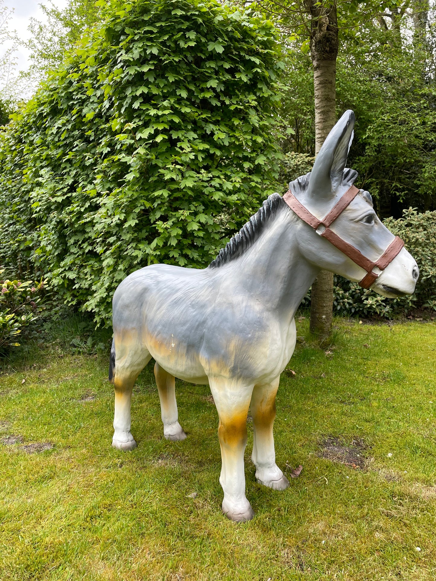 Beeld Ezel grijs tuin, vijver, boerderij, dierentuin 100cm