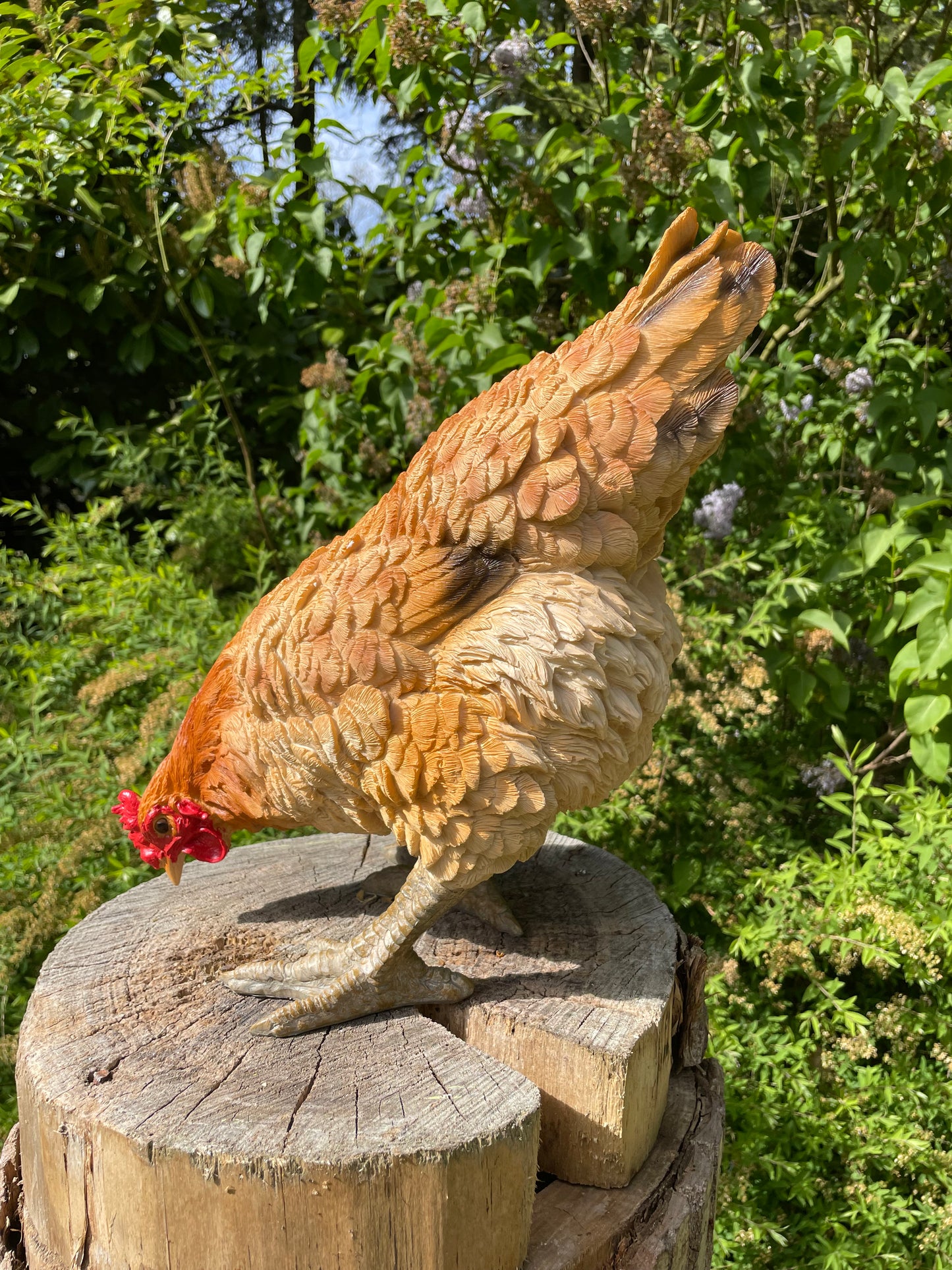 Beeld kip, pikkend, bruin, tuin, gazon, boerderij 35cm