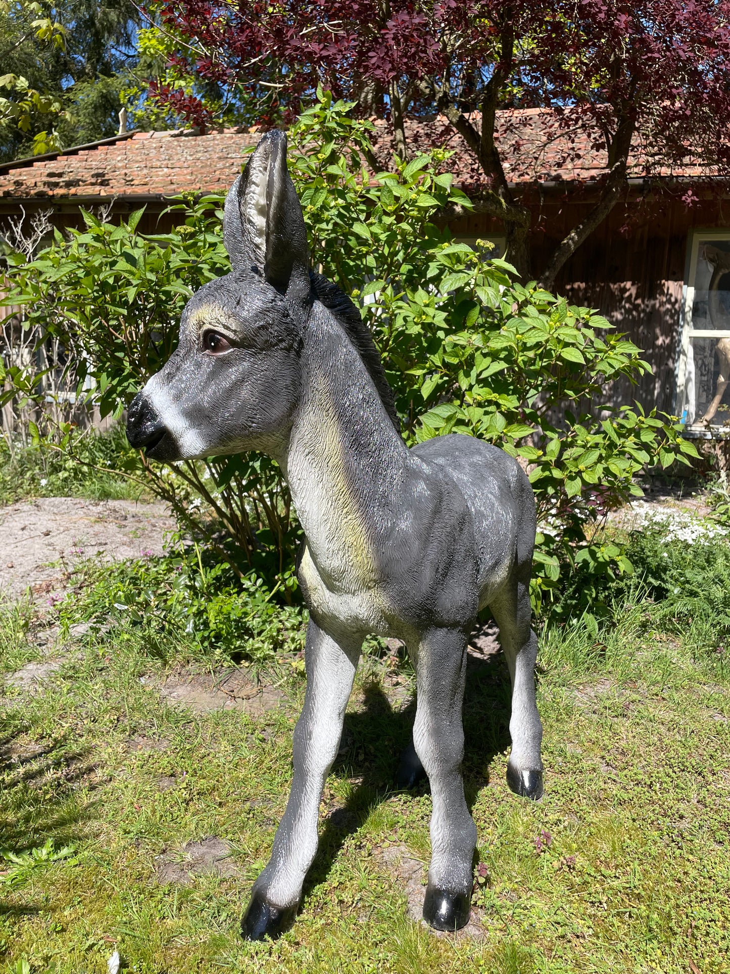 Ezel grijs, tuin, boerderij, vijver, dierentuin 100cm