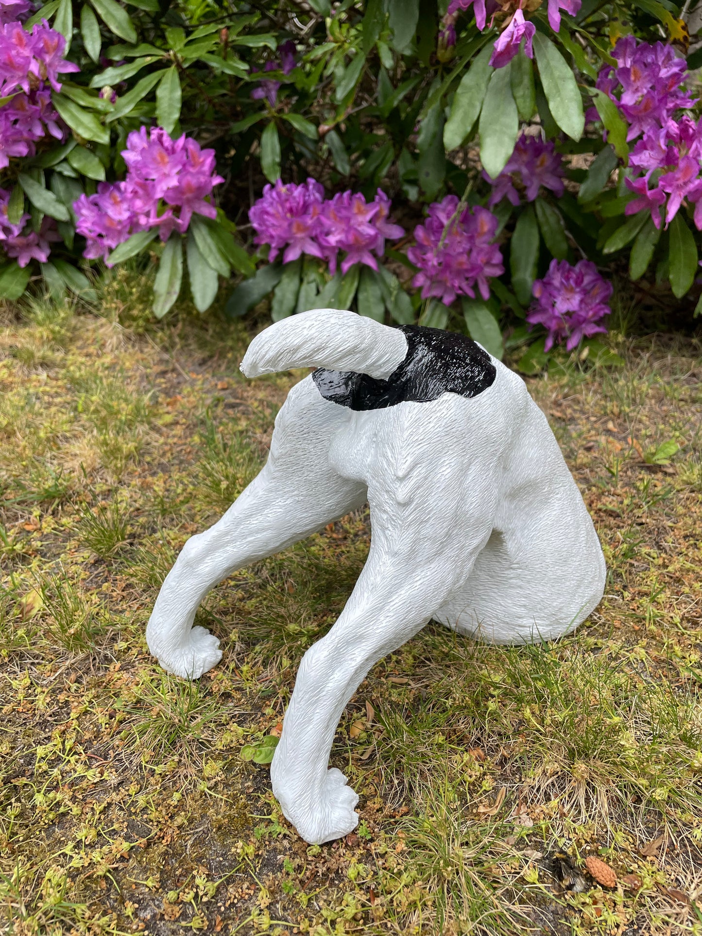 Beeld Jack Russel hond wit/zwart tuin, gazon, boerderij 30cm