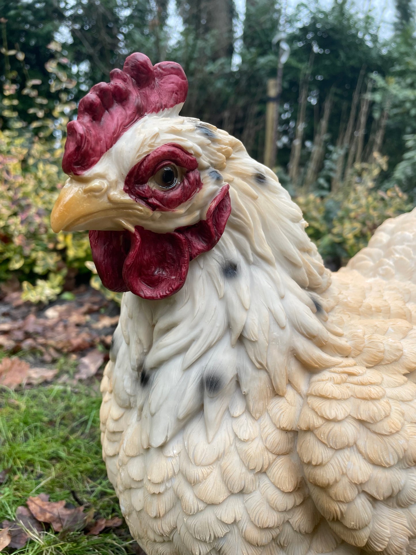 Beeld kip, wit tuin, vijver, gazon, boerderij 35cm