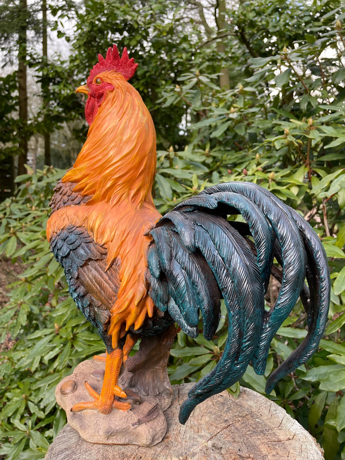 Beeld Haan, tuin, vijver, gazon, boerderij 35cm