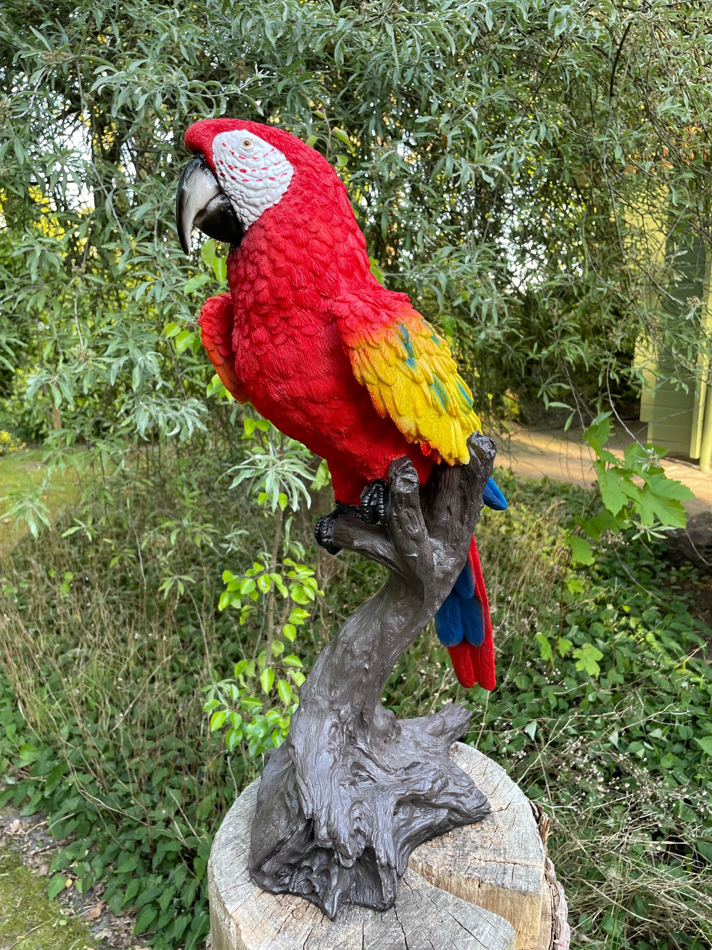 Beeld papegaai Rood boomstronk tuin, vijver, balkon 65cm