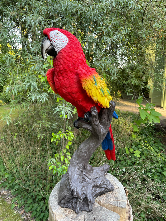 Beeld papegaai Rood boomstronk tuin, vijver, balkon 65cm