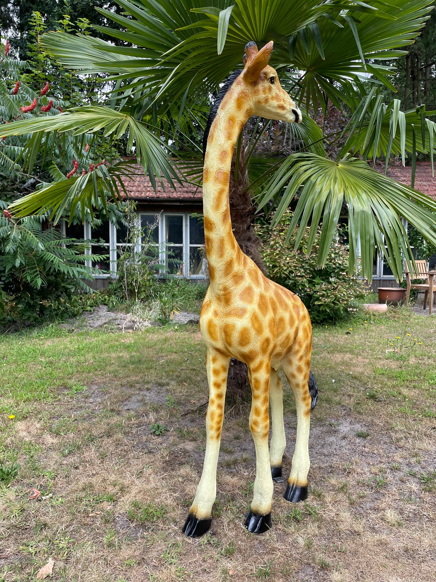 Grote Giraffe Tuinbeeld – Realistisch Dierenbeeld voor Babykamer of Buiten 150cm