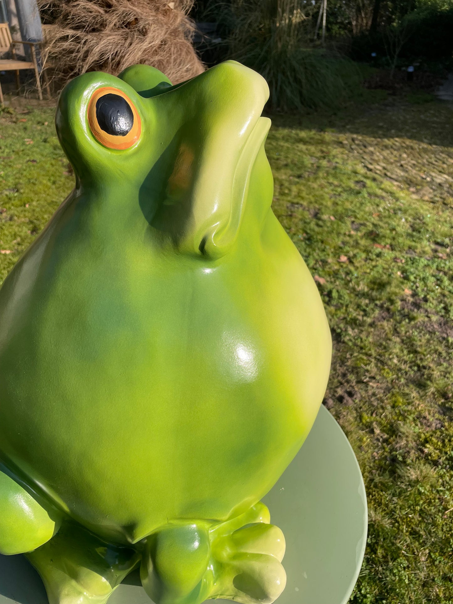 Beeld kikker, tuin, vijver, gazon, boerderij 55cm
