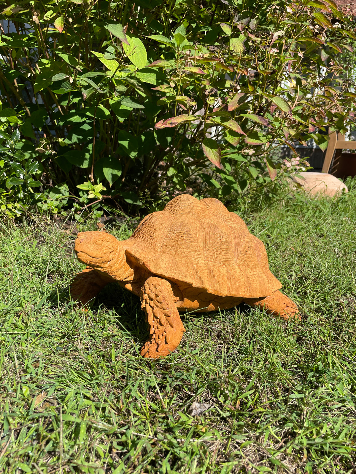 schildpad Roest 40cm