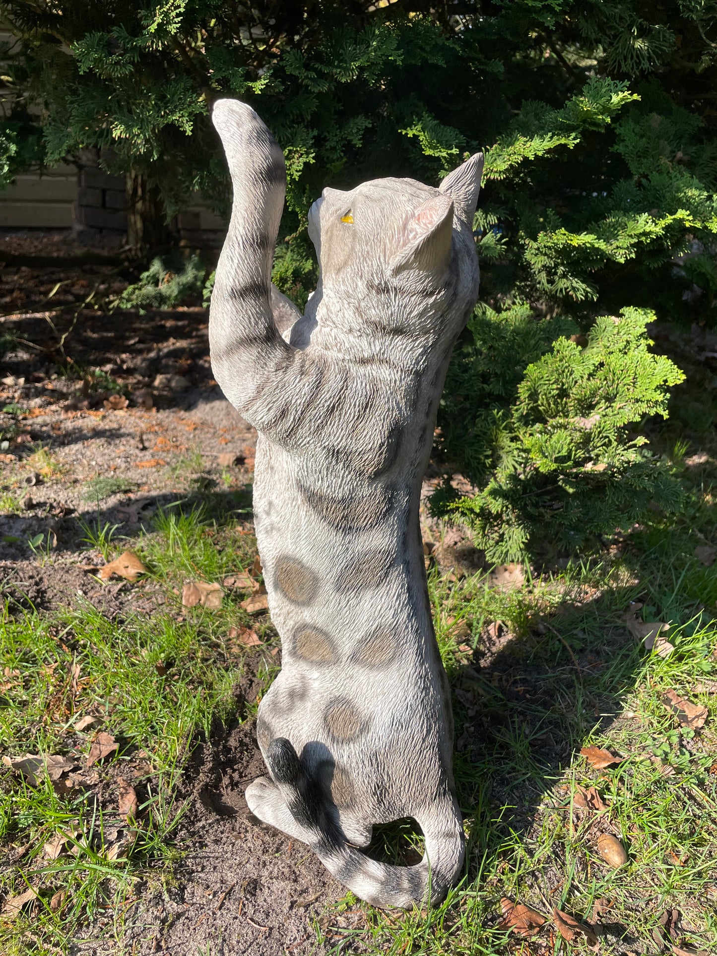 (Tuin)Beeld Poes, kat, tuin, gazon, kitten, boerderij 50cm