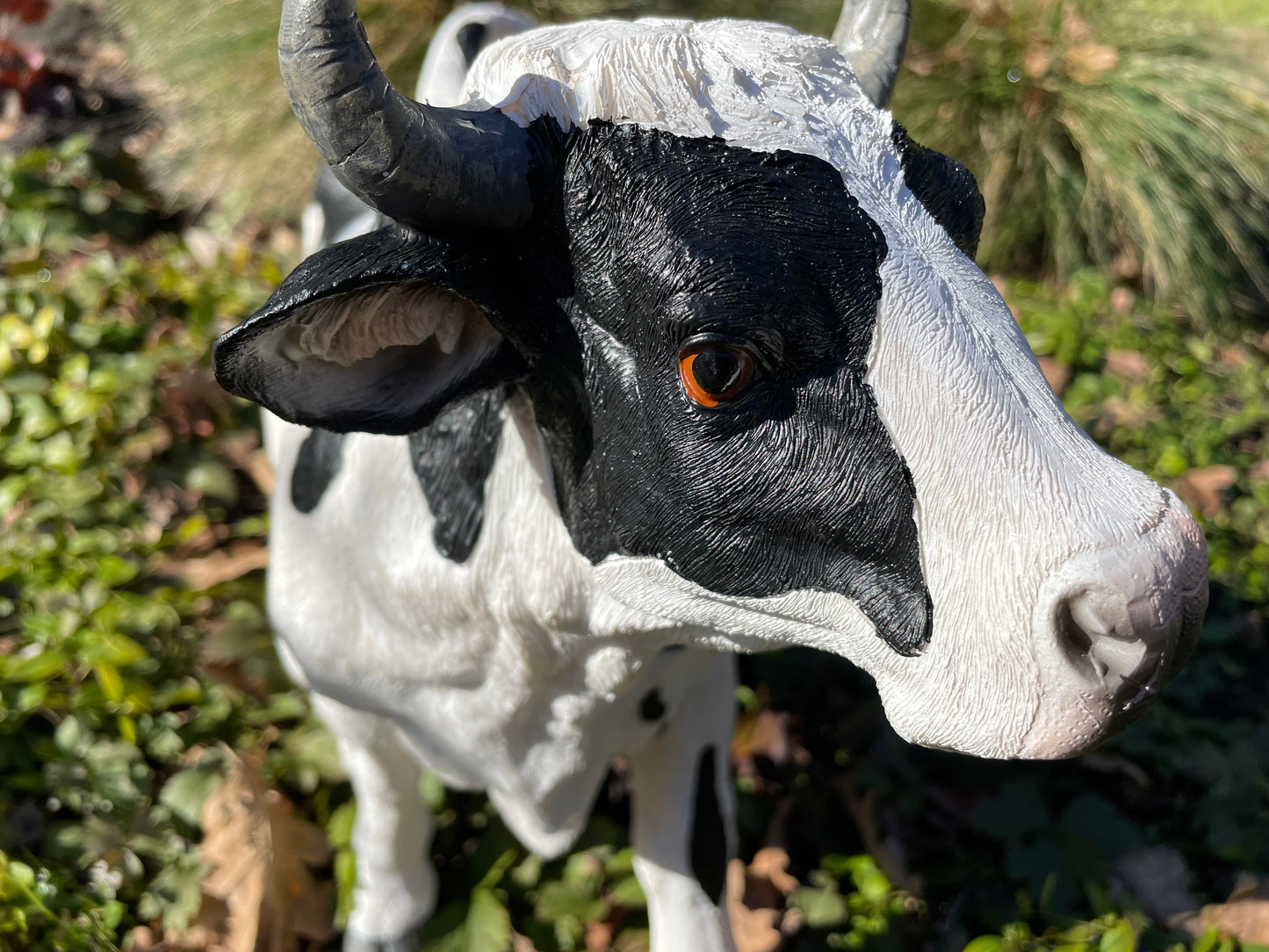Kalf, koe, boerderij, gazon, tuin, boerderij, 50 cm