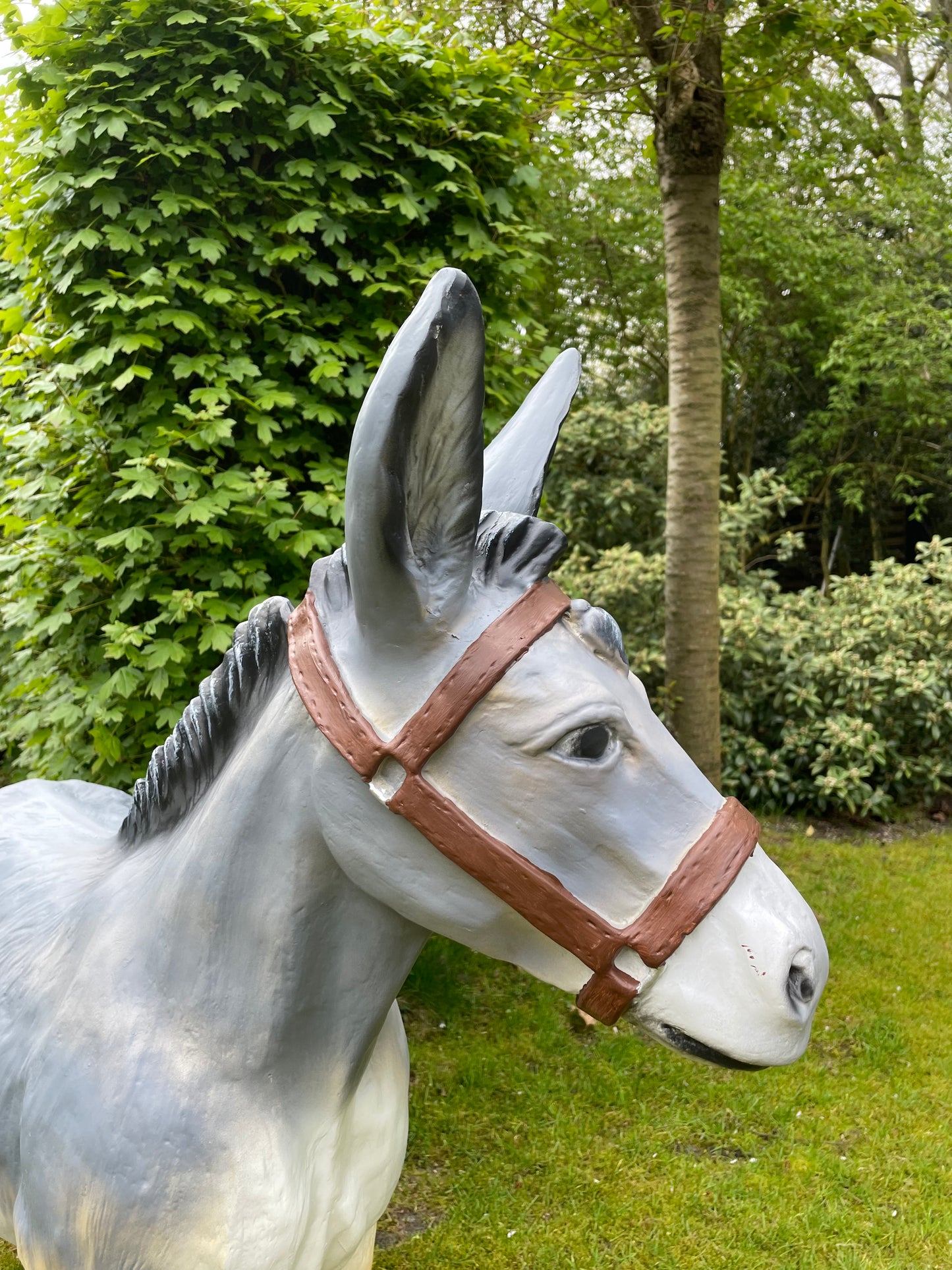 Beeld Ezel grijs tuin, vijver, boerderij, dierentuin 100cm