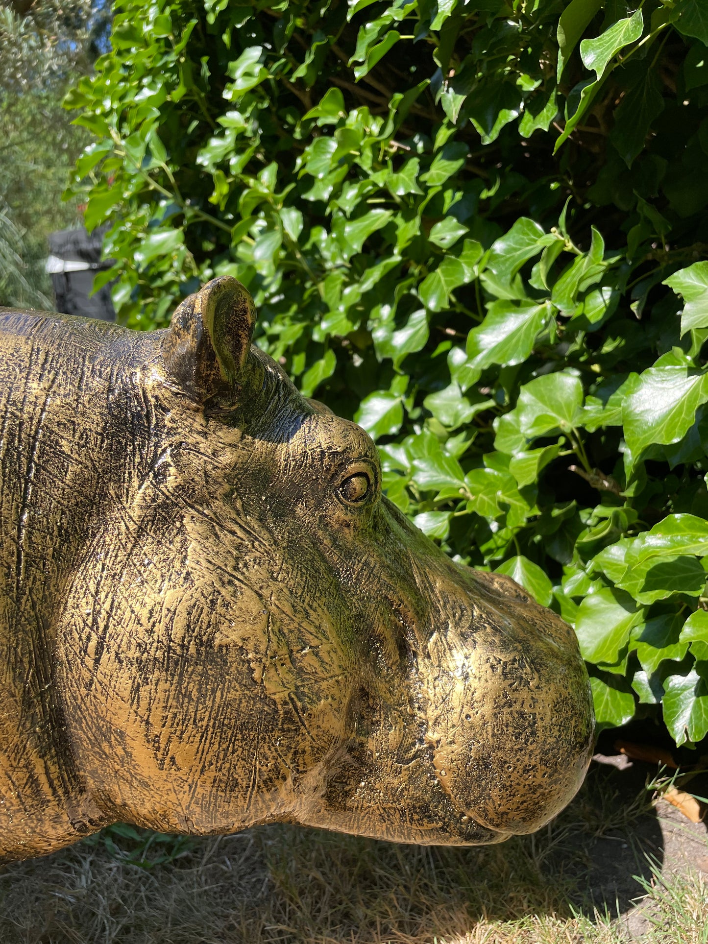 Beeld Nijlpaard, hippo, vijver, tuin 90 cm