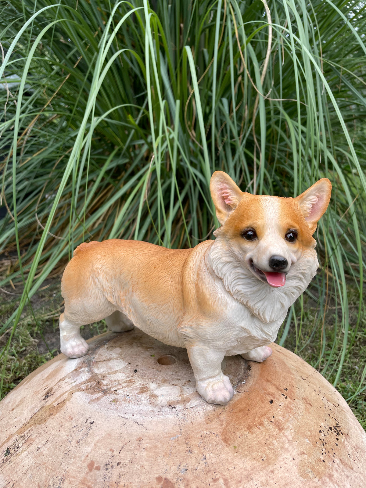 Welsh Corgi hond 30cm