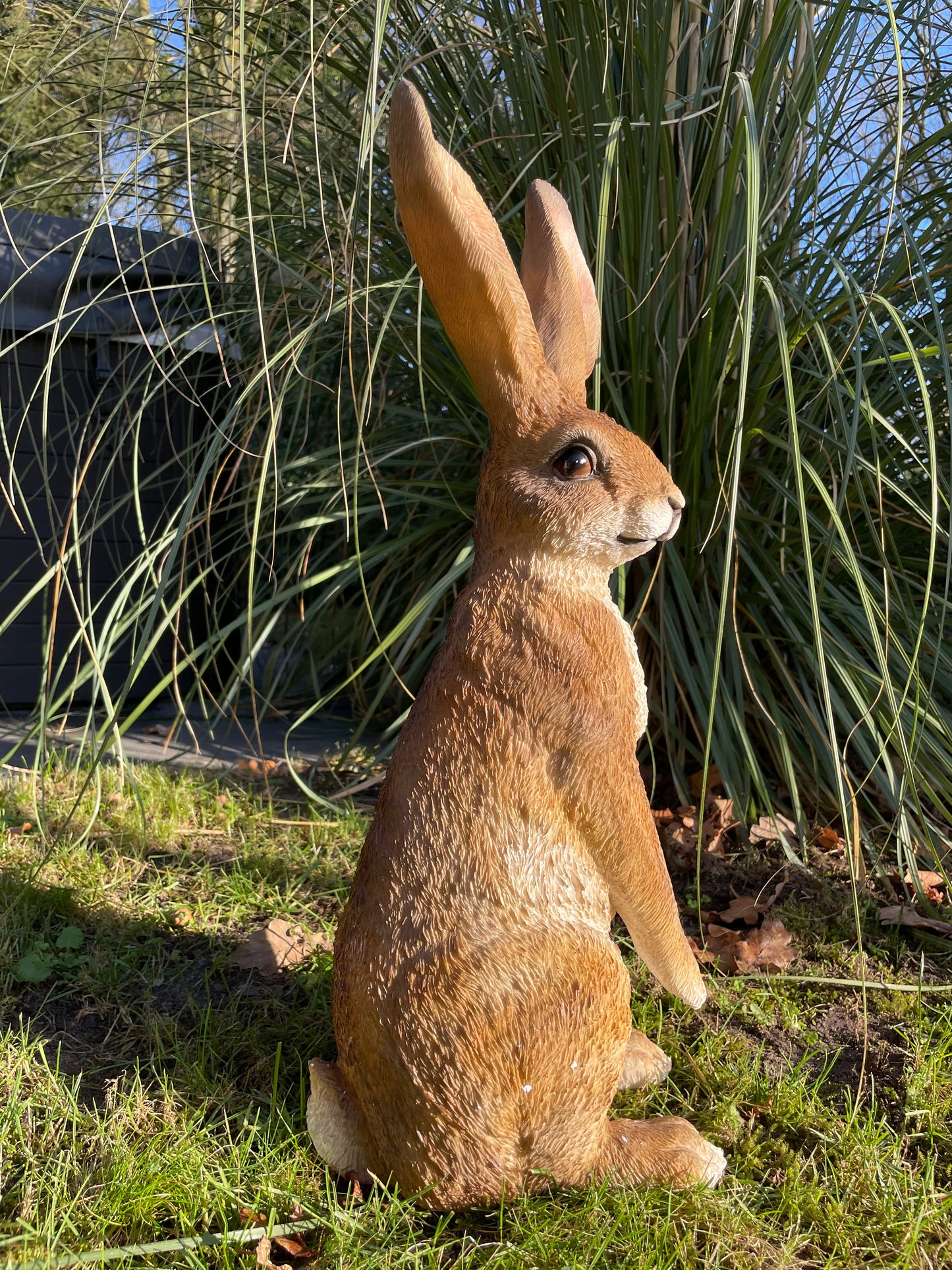 (Tuin)Beeld haas, staand, konijn, vijver 60cm