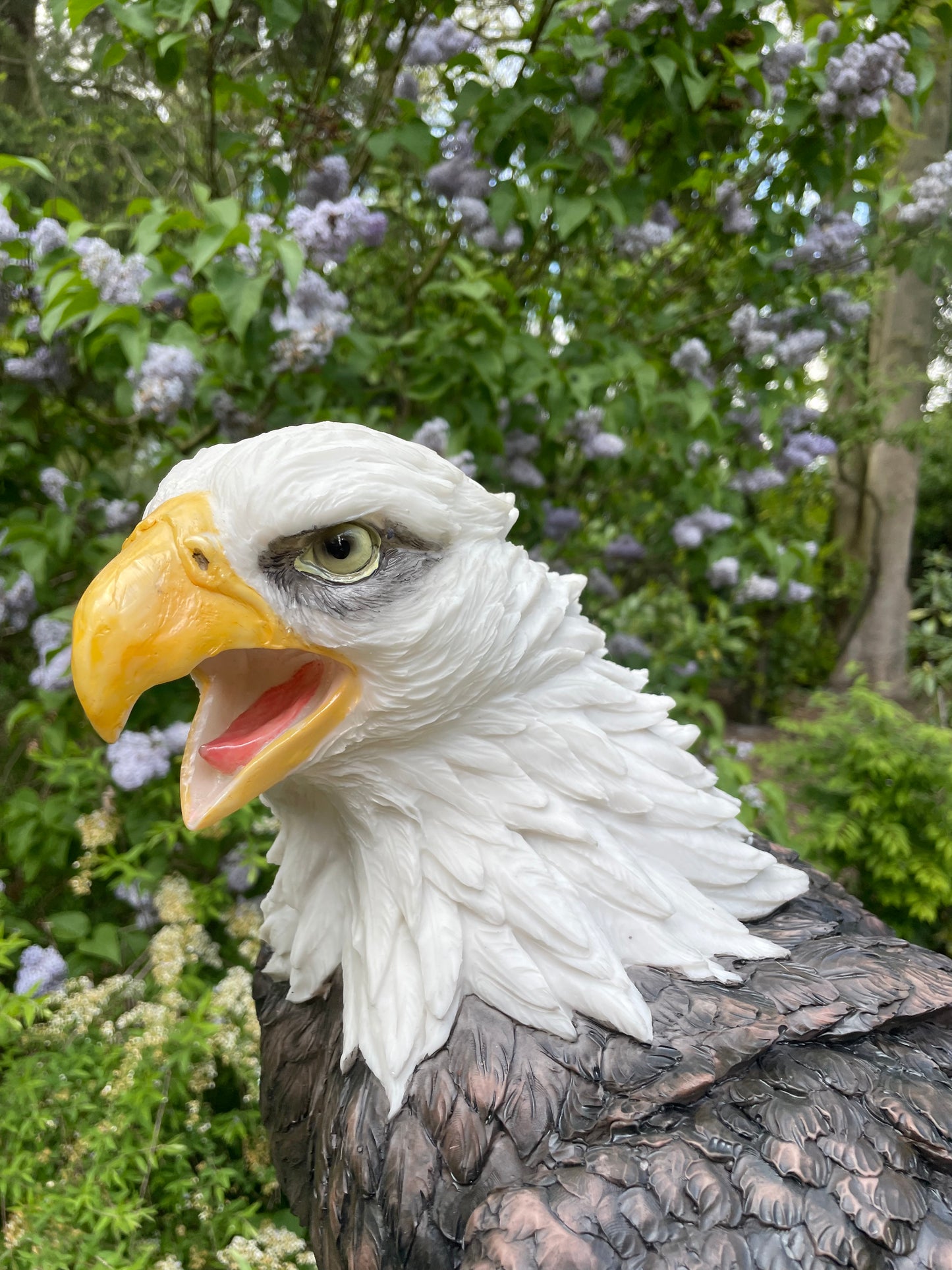 Beeld Arend groot, gazon, tuin, vijver, dierentuin 55cm