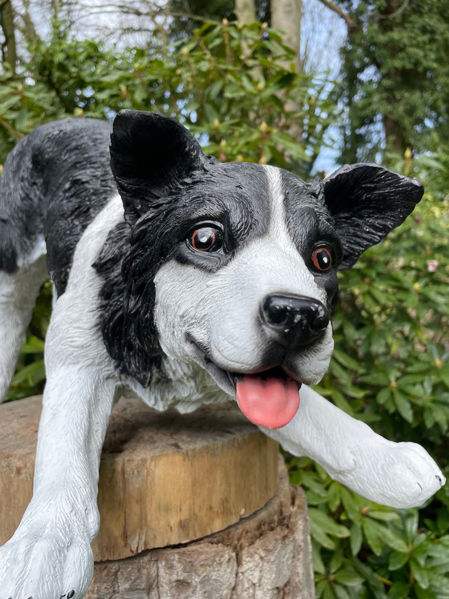 (Tuin)beeld Bordercollie, hond, tuin, kennel 60cm