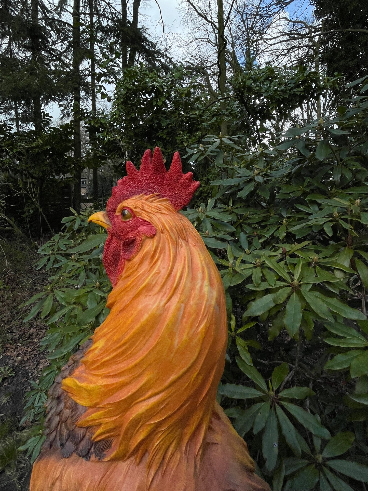 Beeld Haan, tuin, vijver, gazon, boerderij 35cm