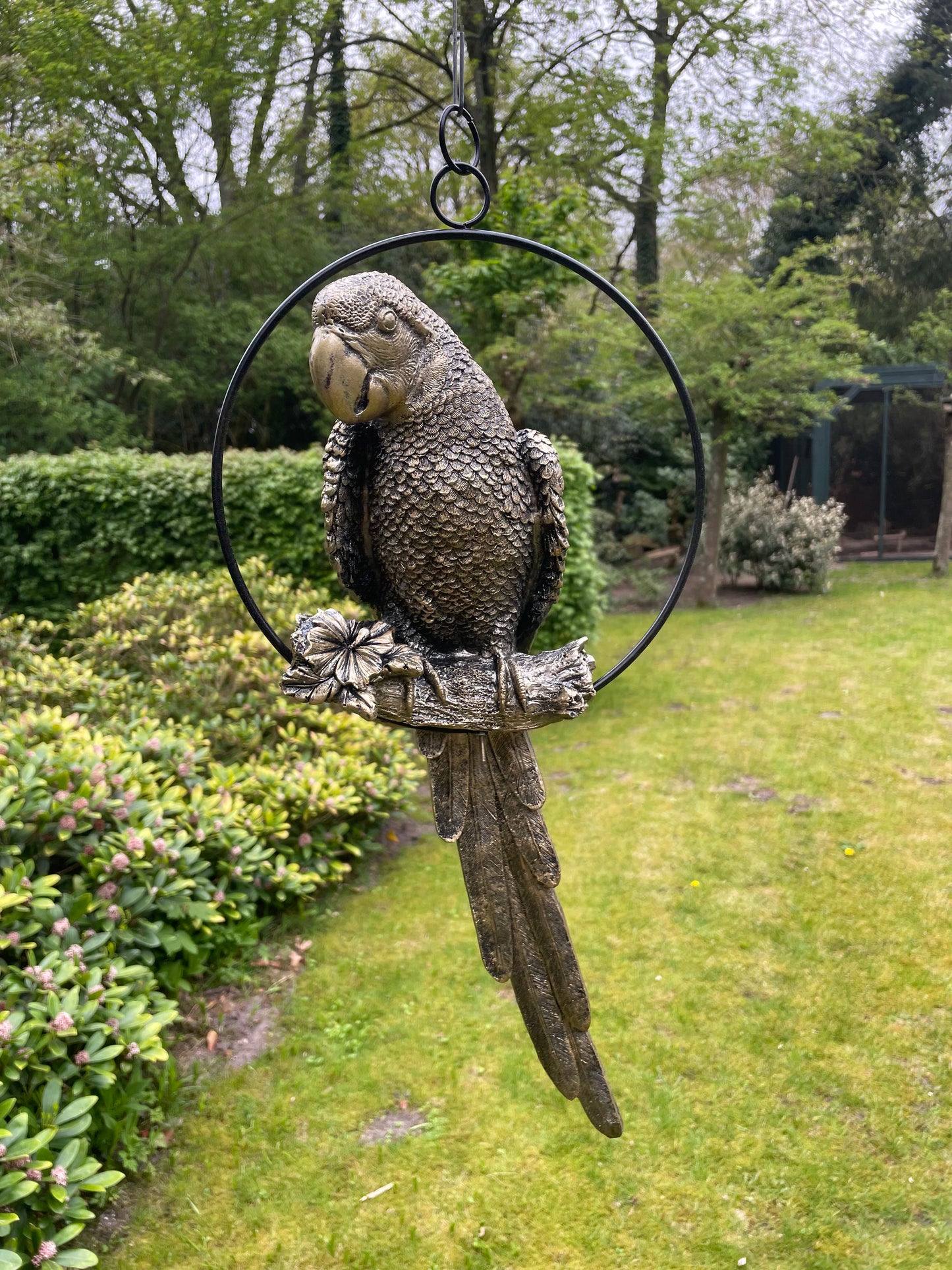 Beeld papegaai Antiek Goud, zwembad, vijver, tuin, balkon 50cm