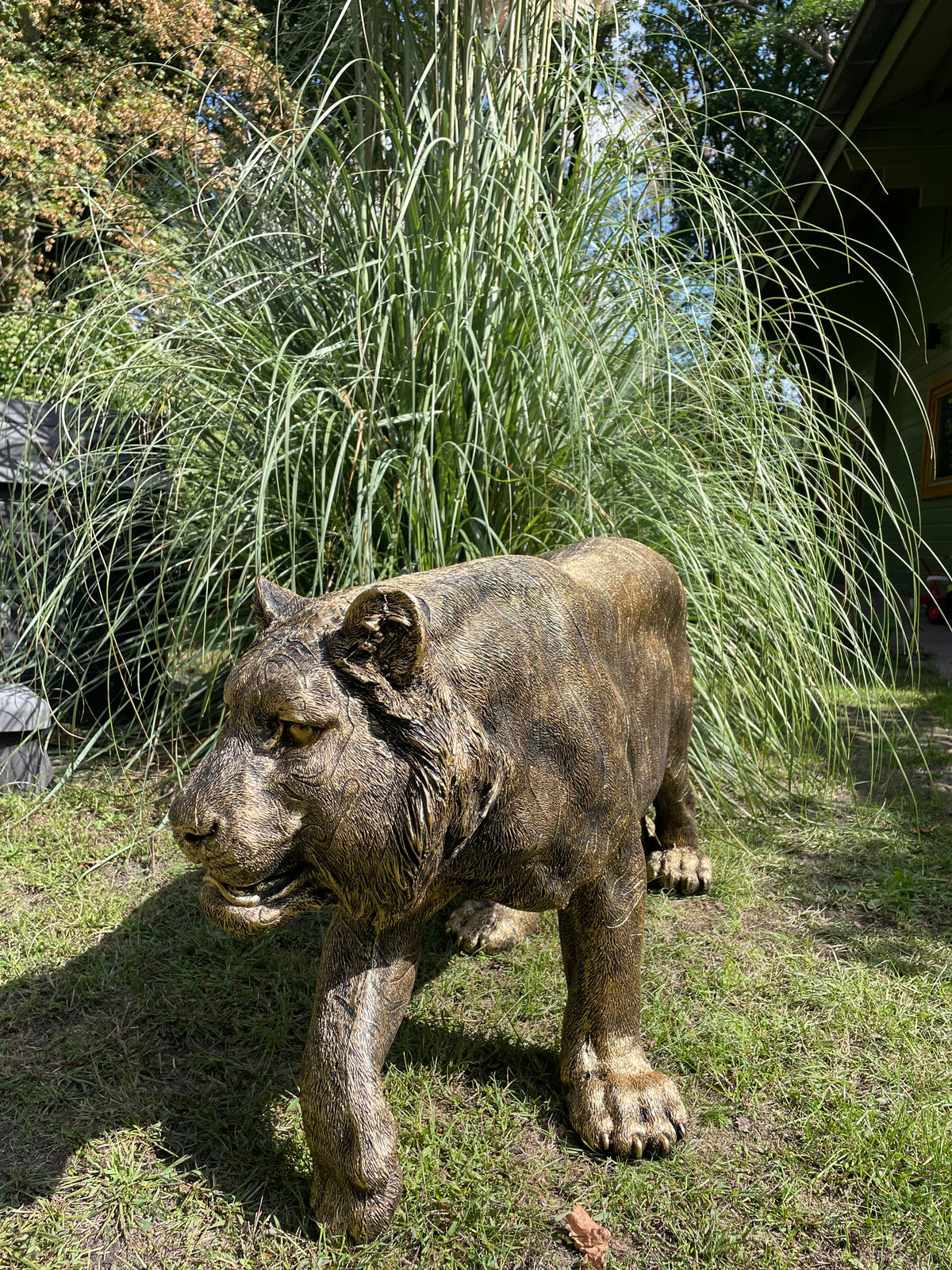 Tijger antiek goud gazon, tuin, dierentuin, 140cm