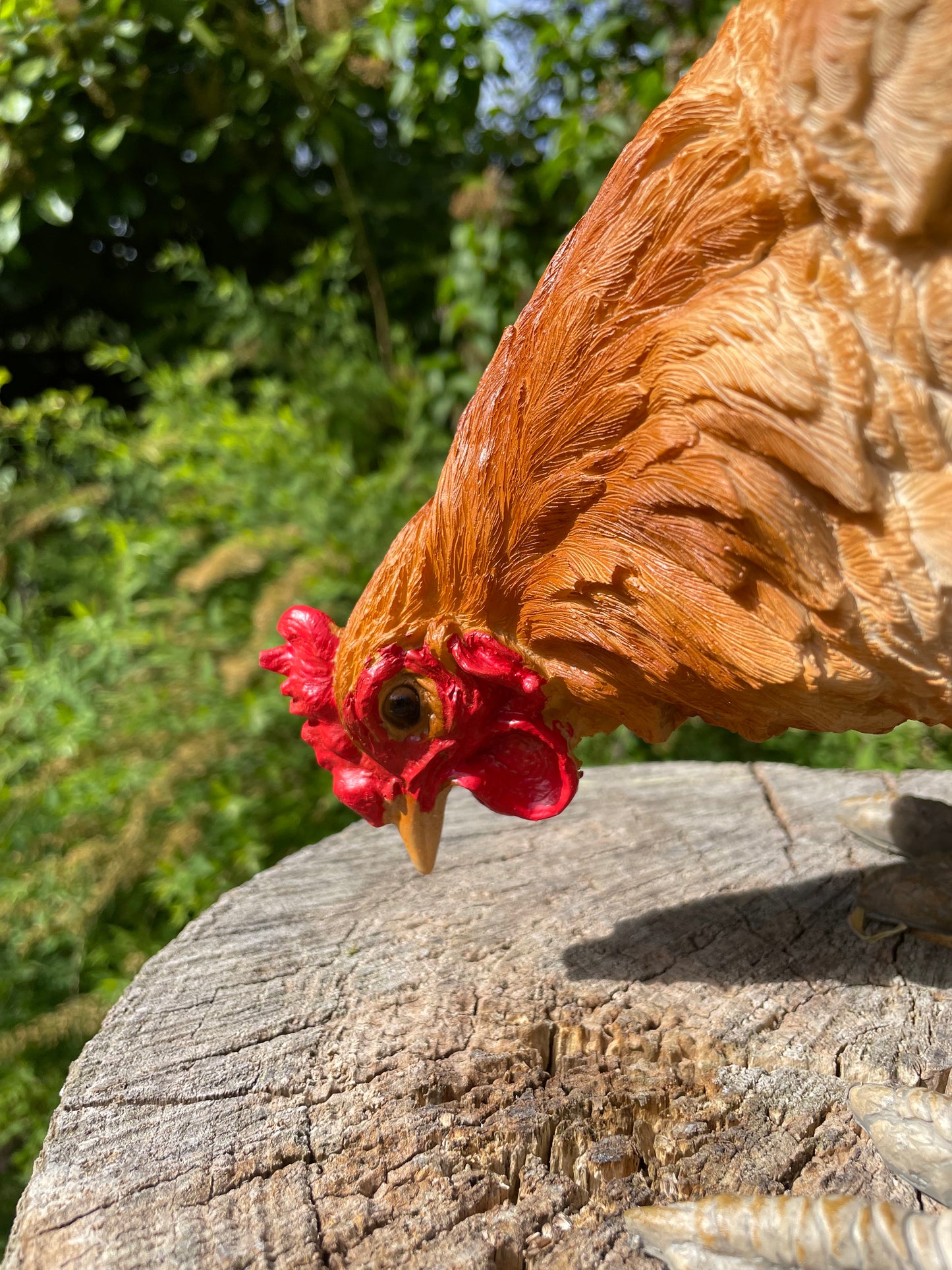 Beeld kip, pikkend, bruin, tuin, gazon, boerderij 35cm