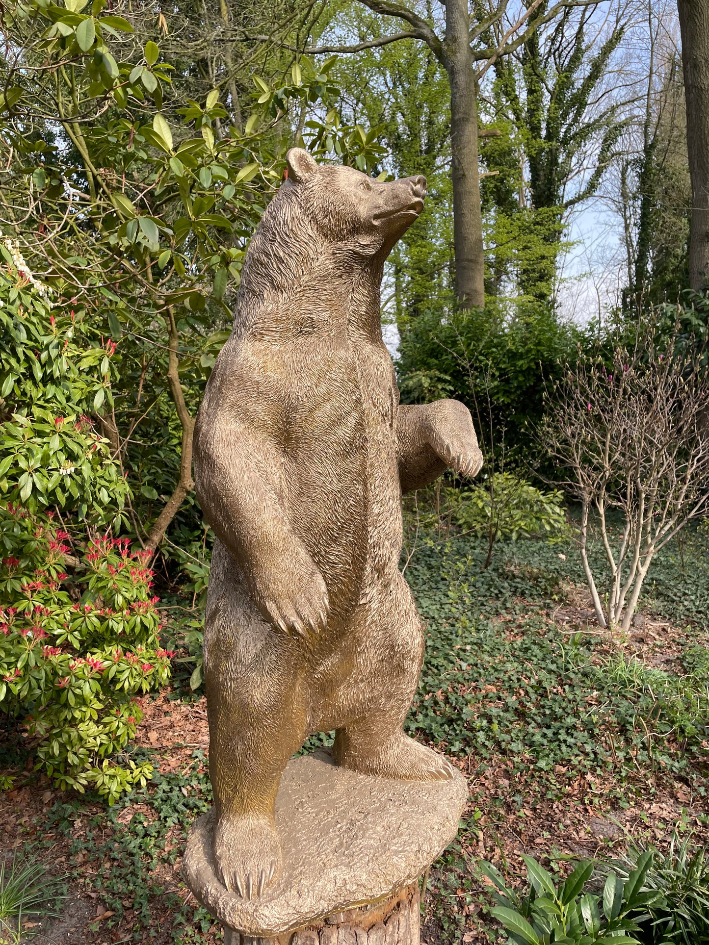 Beeld Beer, goud, tuin, gazon, manege, 120cm