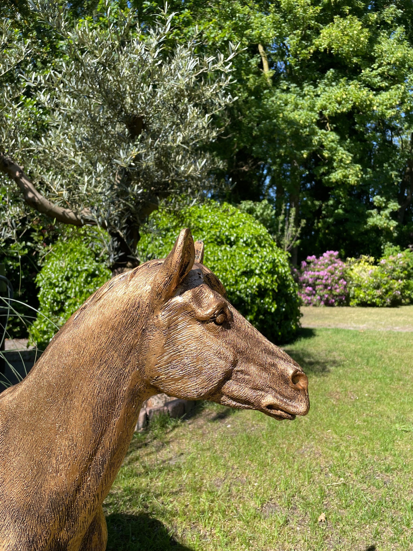 Beeld Paard, goud, tuin, pony, rijles, manege, 100cm