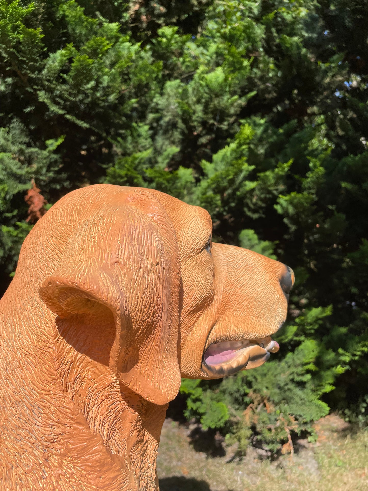 Beeld hond labrador, Golden Retriever donker goud 80cm