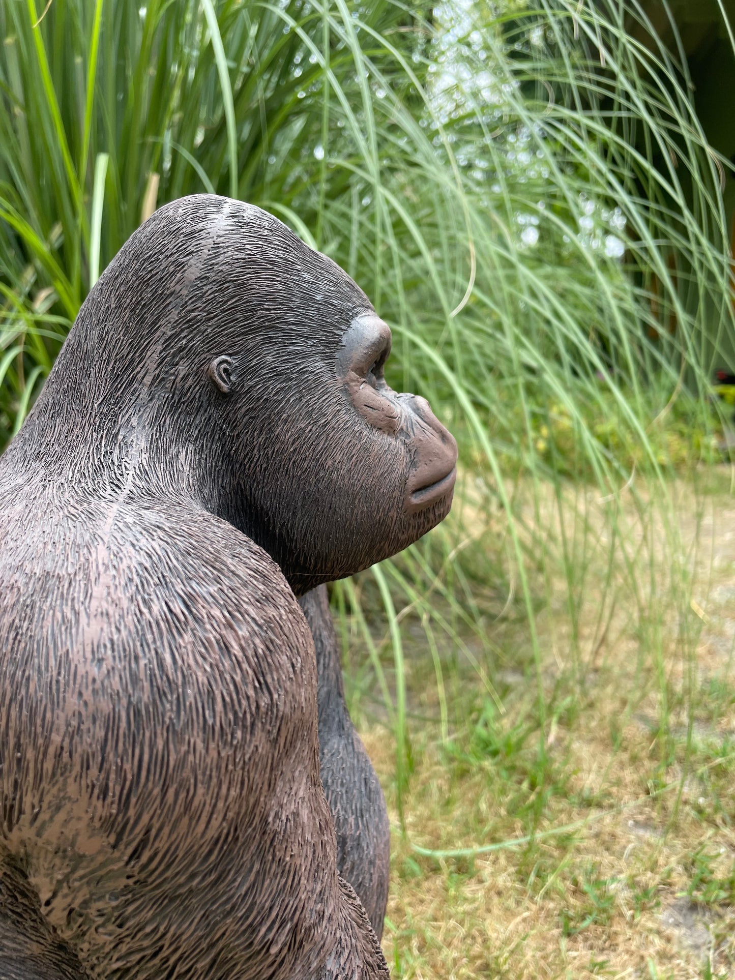 (Tuin)Beeld gorilla, bruin tuin, zwembad, vijver 40cm
