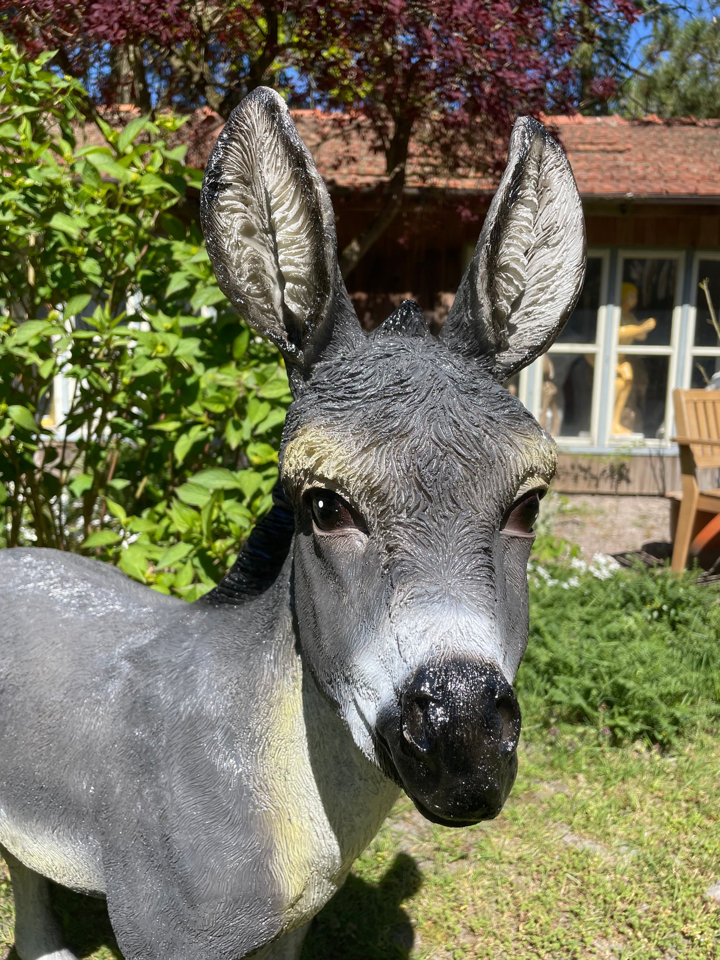 Ezel grijs, tuin, boerderij, vijver, dierentuin 100cm