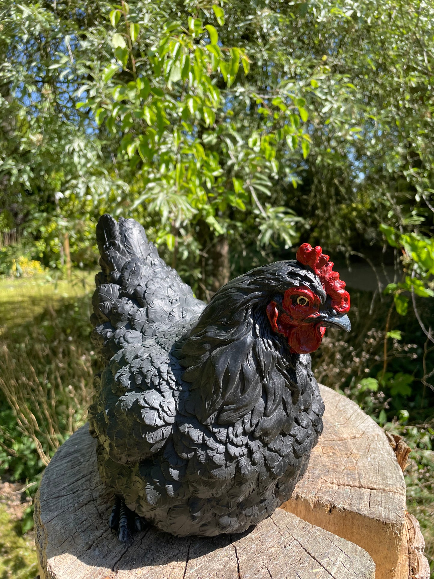 Beeld kip, zwart, tuin, vijver, gazon, boerderij 30cm