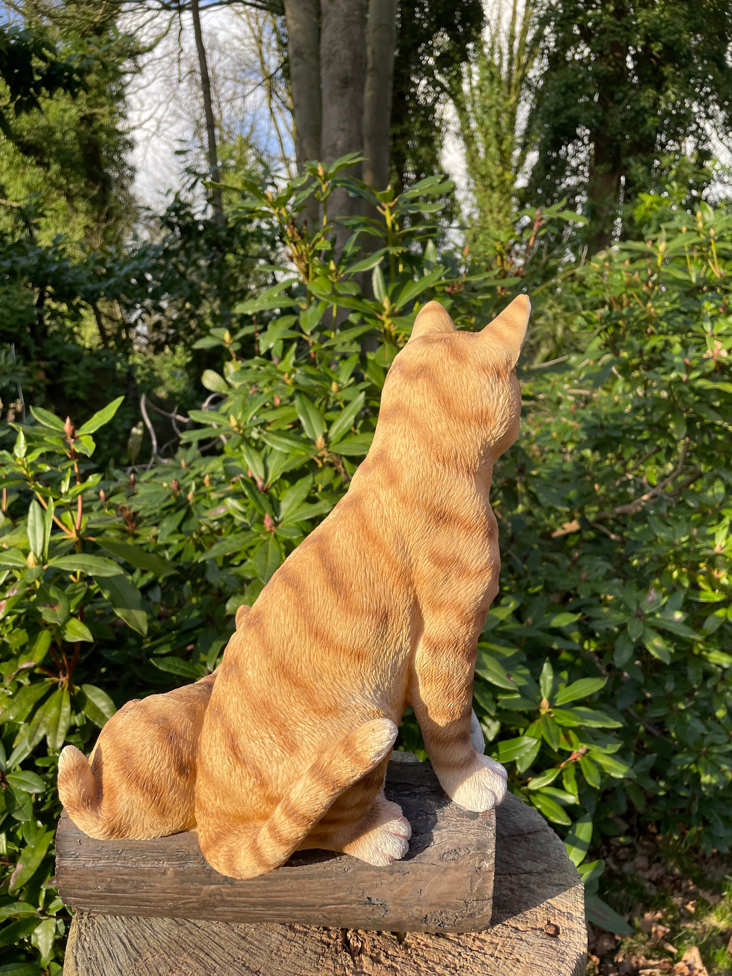 Poes, kitten boomstronk, tuin, gazon, boerderij 37cm